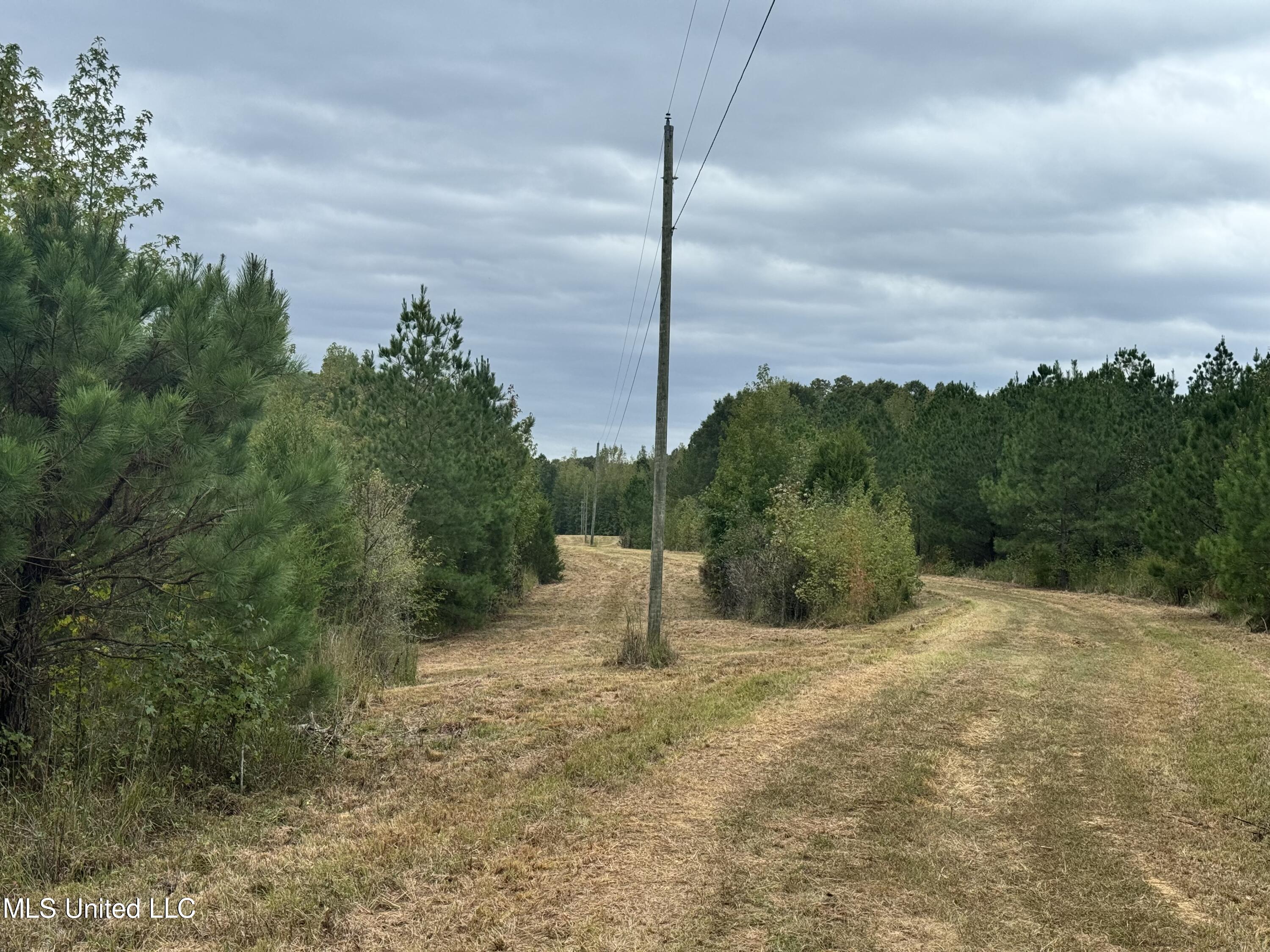 Racetrack Road, West, Mississippi image 15