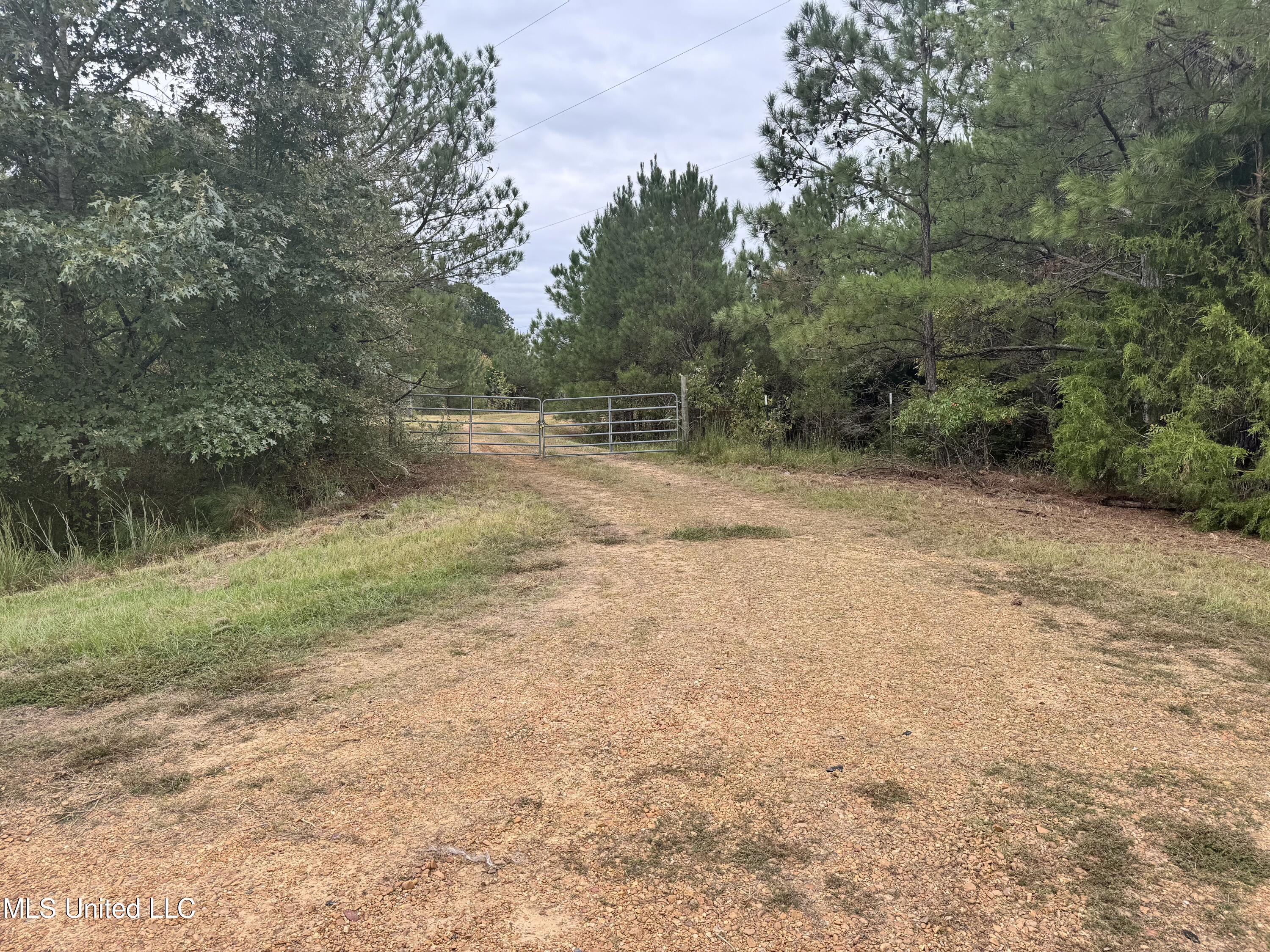 Racetrack Road, West, Mississippi image 13