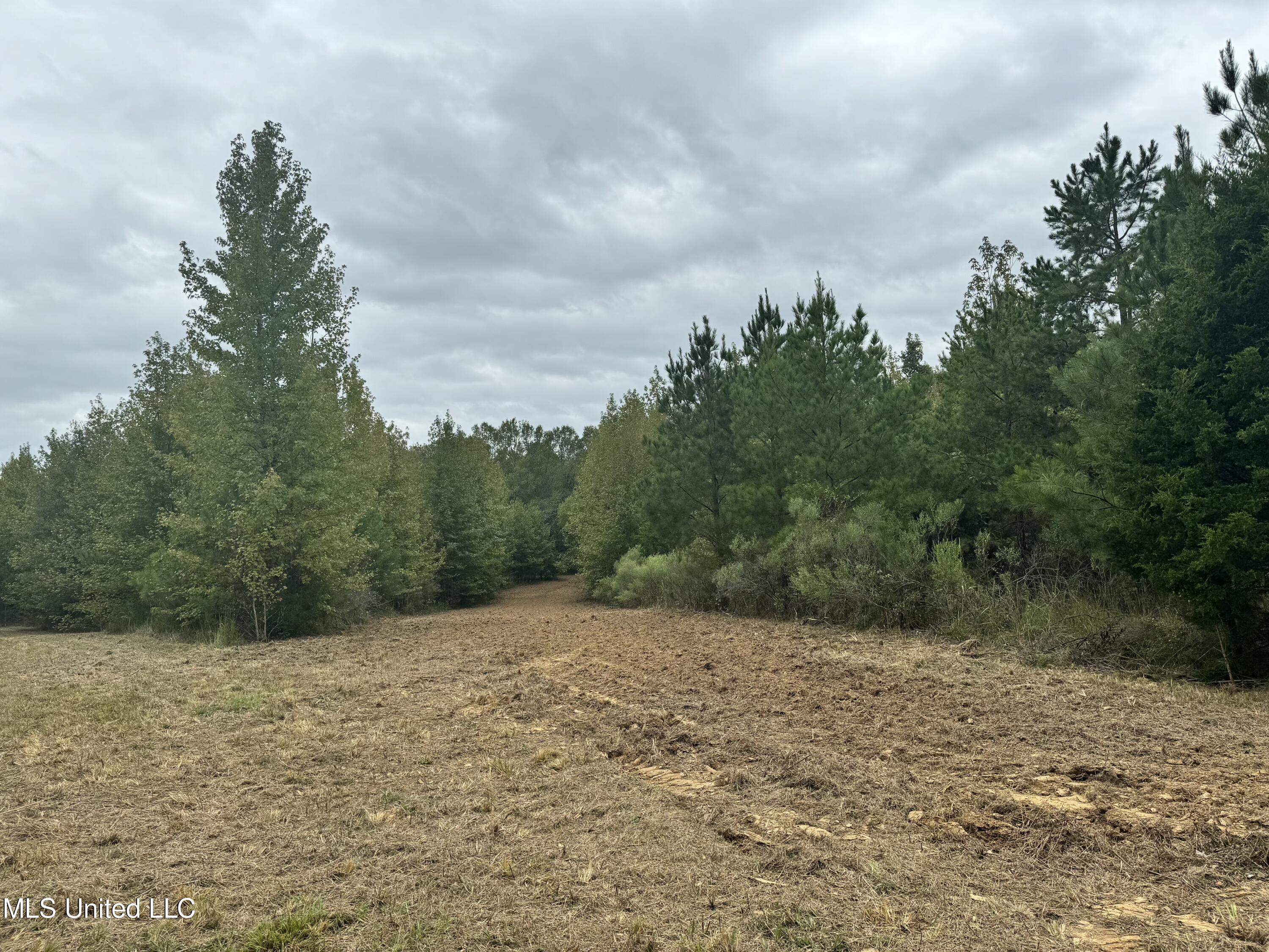 Racetrack Road, West, Mississippi image 12