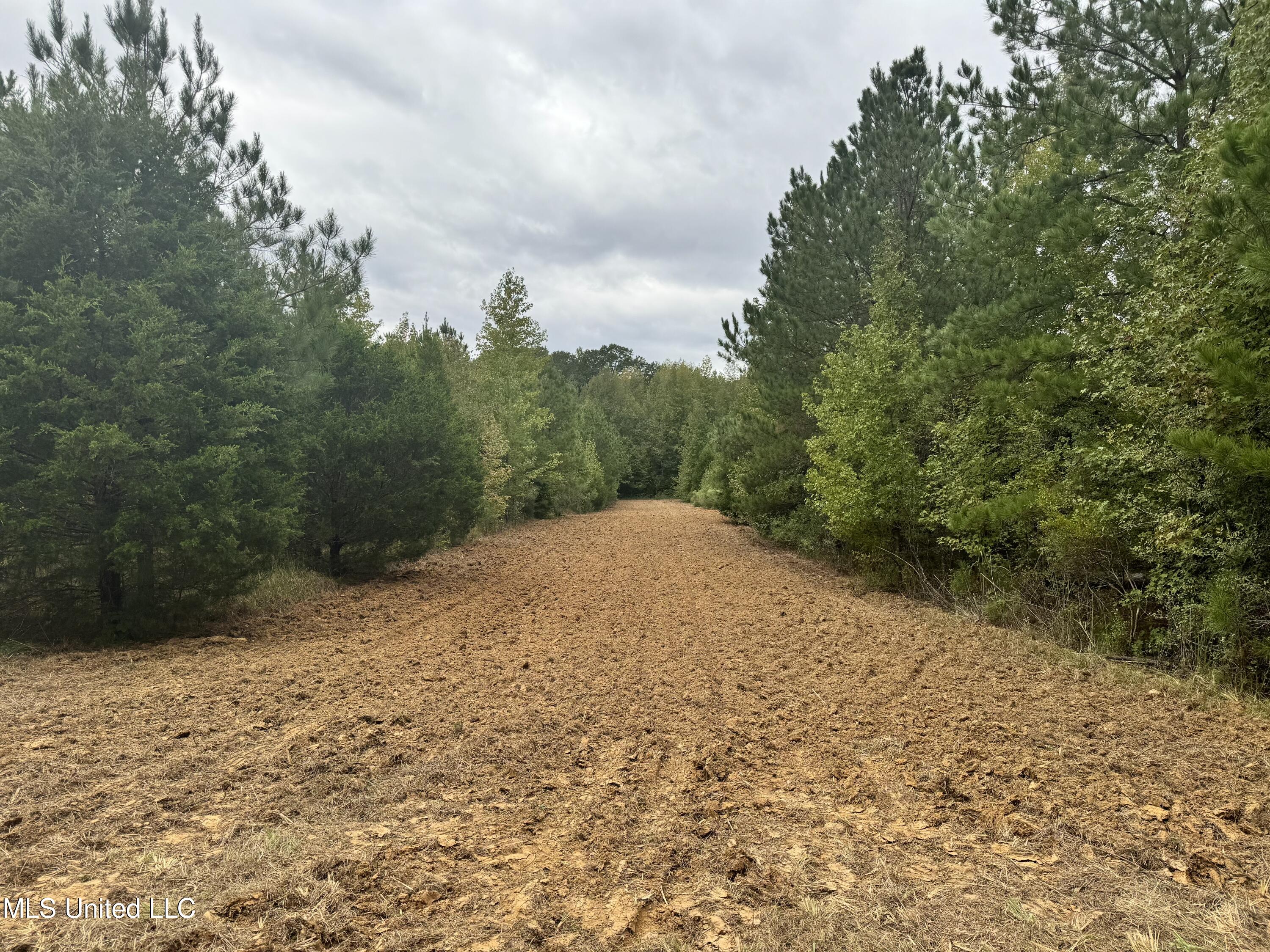 Racetrack Road, West, Mississippi image 11