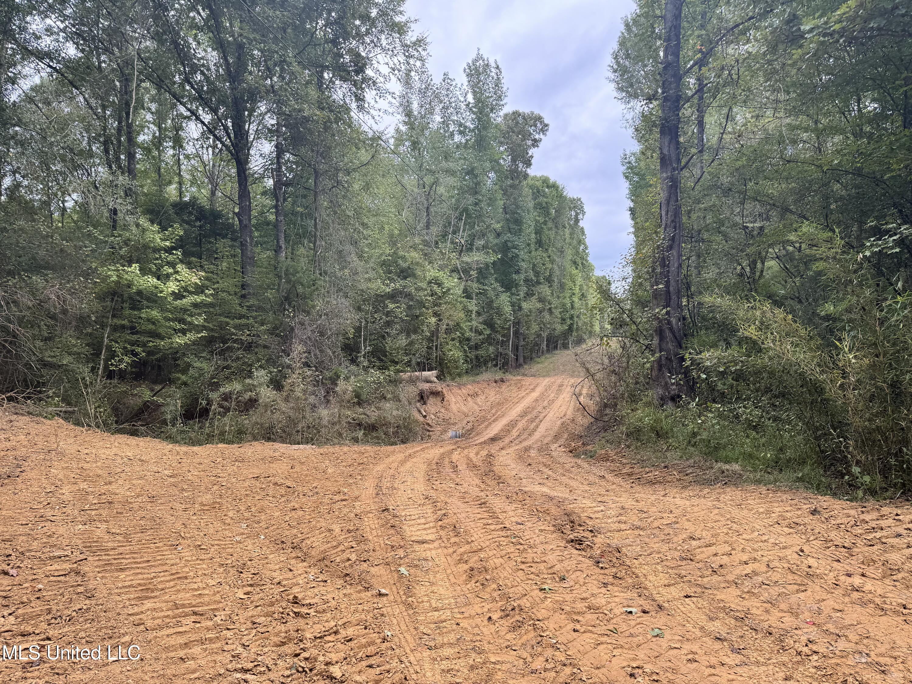 Racetrack Road, West, Mississippi image 25