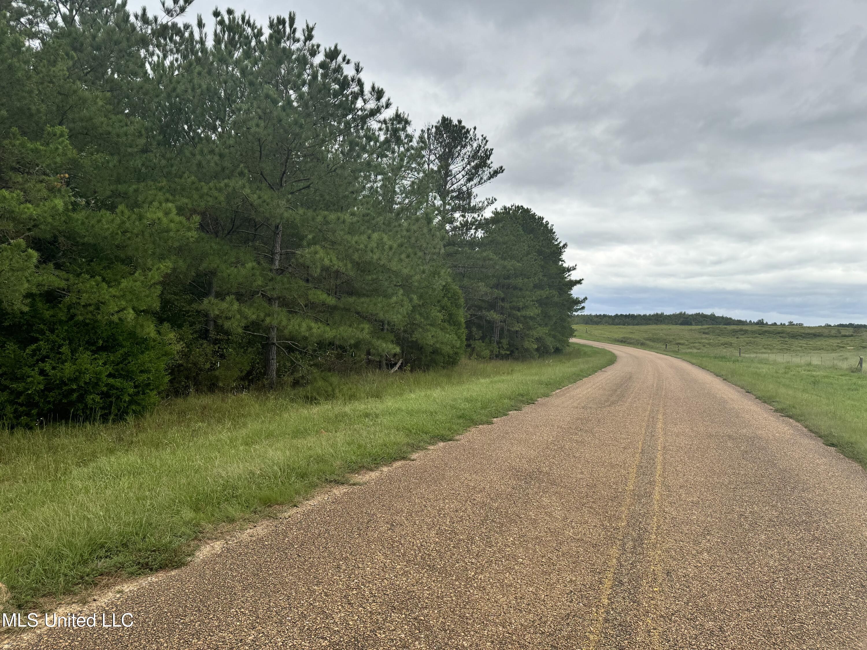 Racetrack Road, West, Mississippi image 14