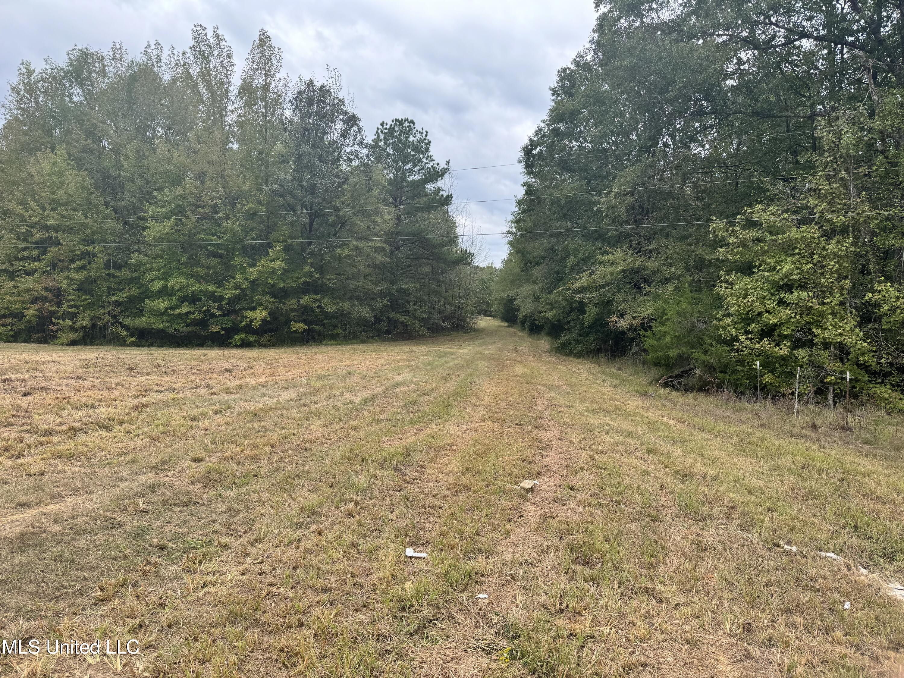 Racetrack Road, West, Mississippi image 18