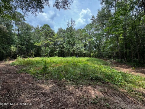 Vacant Land For Sale - Earnest A Thompson<br/> Pike County, Ruth, MS 39662