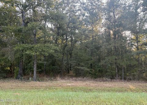Vacant Land For Sale - 00 Shire Avenue<br/> Forest, MS 39074