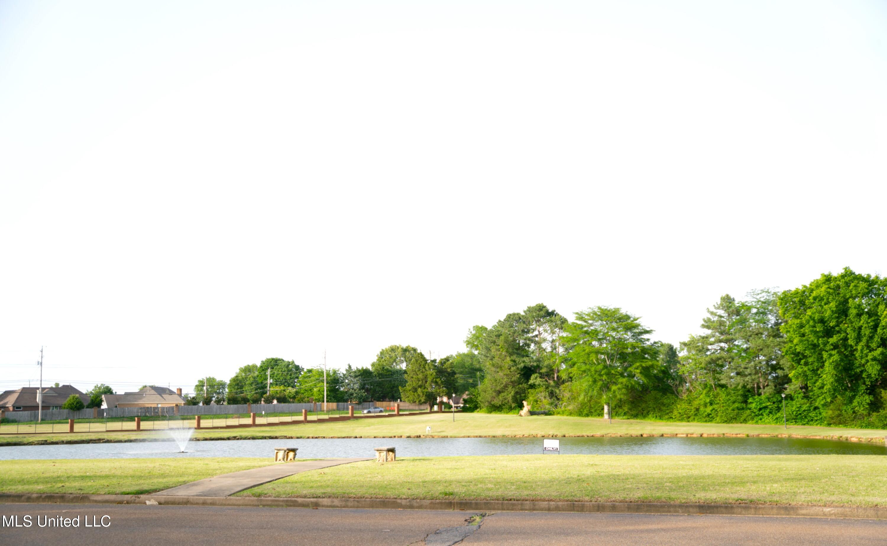 9387 Joe Lyon Boulevard, Olive Branch, Mississippi image 35