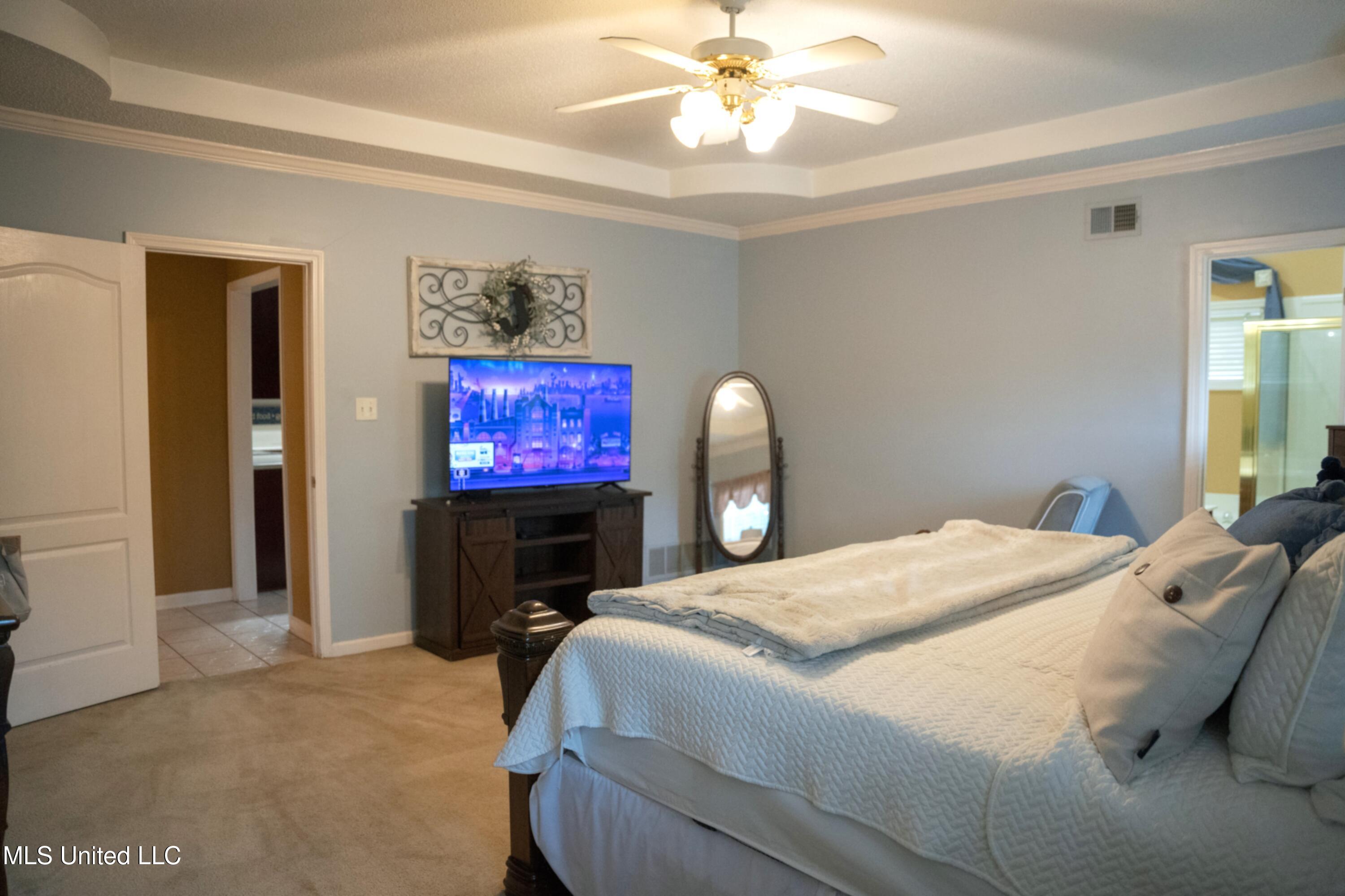 9387 Joe Lyon Boulevard, Olive Branch, Mississippi image 16