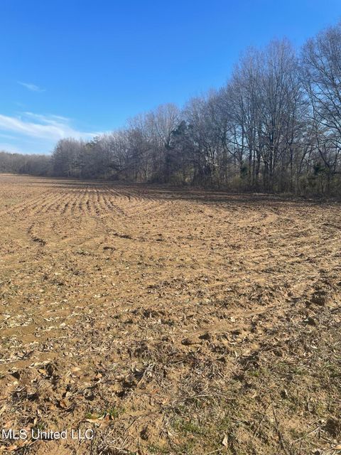 Vacant Land For Sale - 5177 B Nash Road<br/> Panola County, Batesville, MS 38606