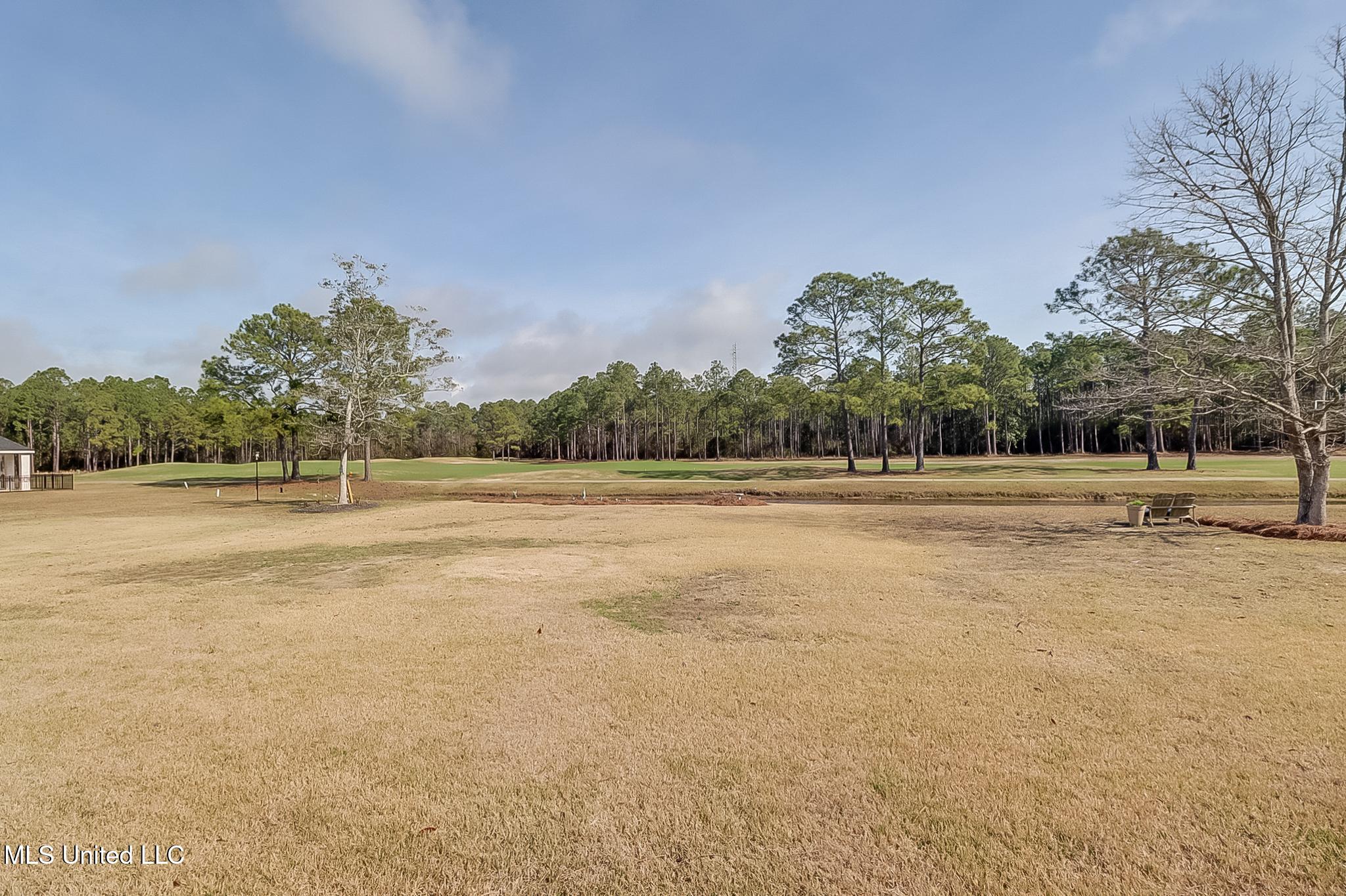 4205 Cobblestone Lane, Gautier, Mississippi image 39