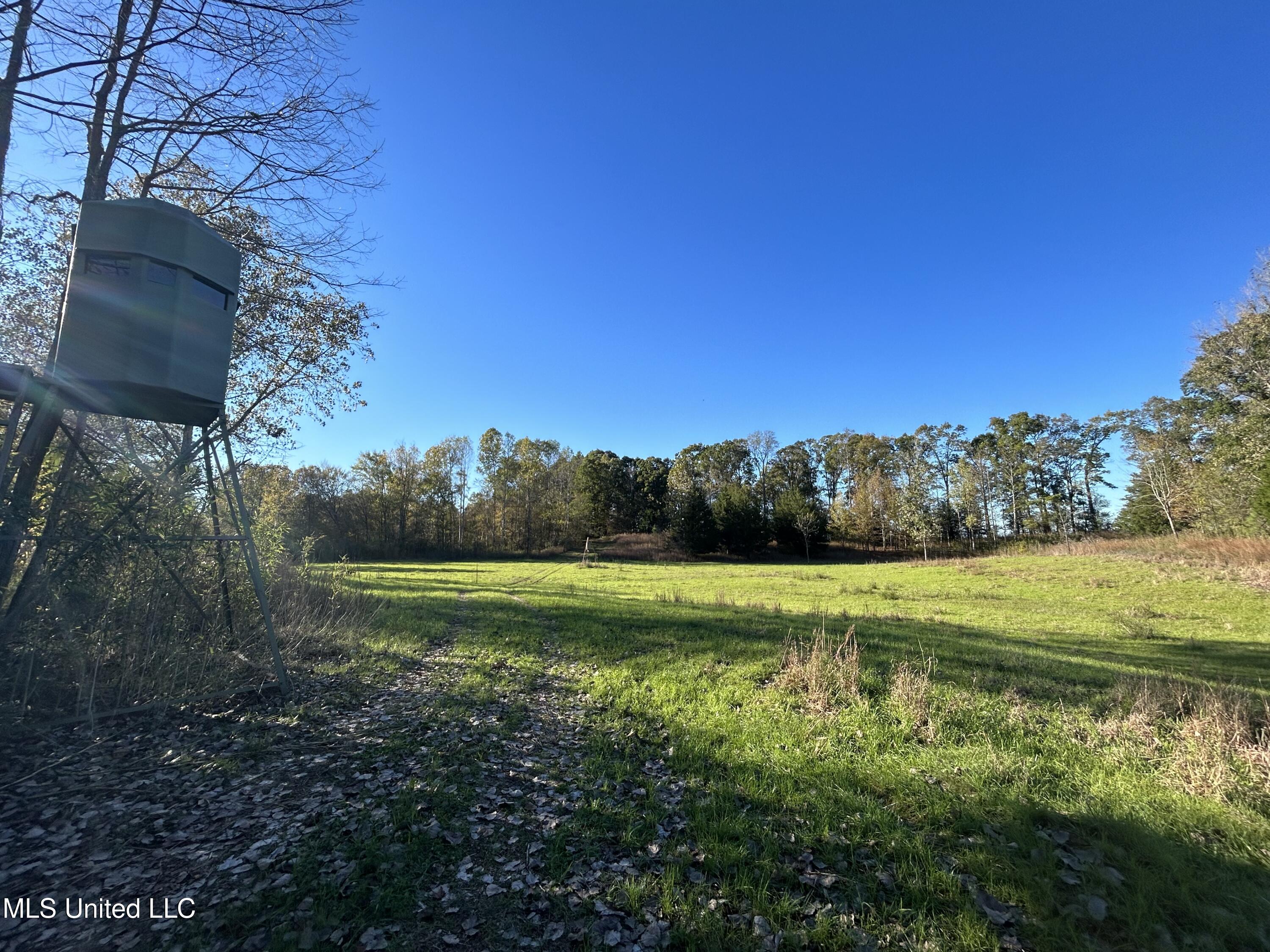 North Road, Lexington, Mississippi image 19