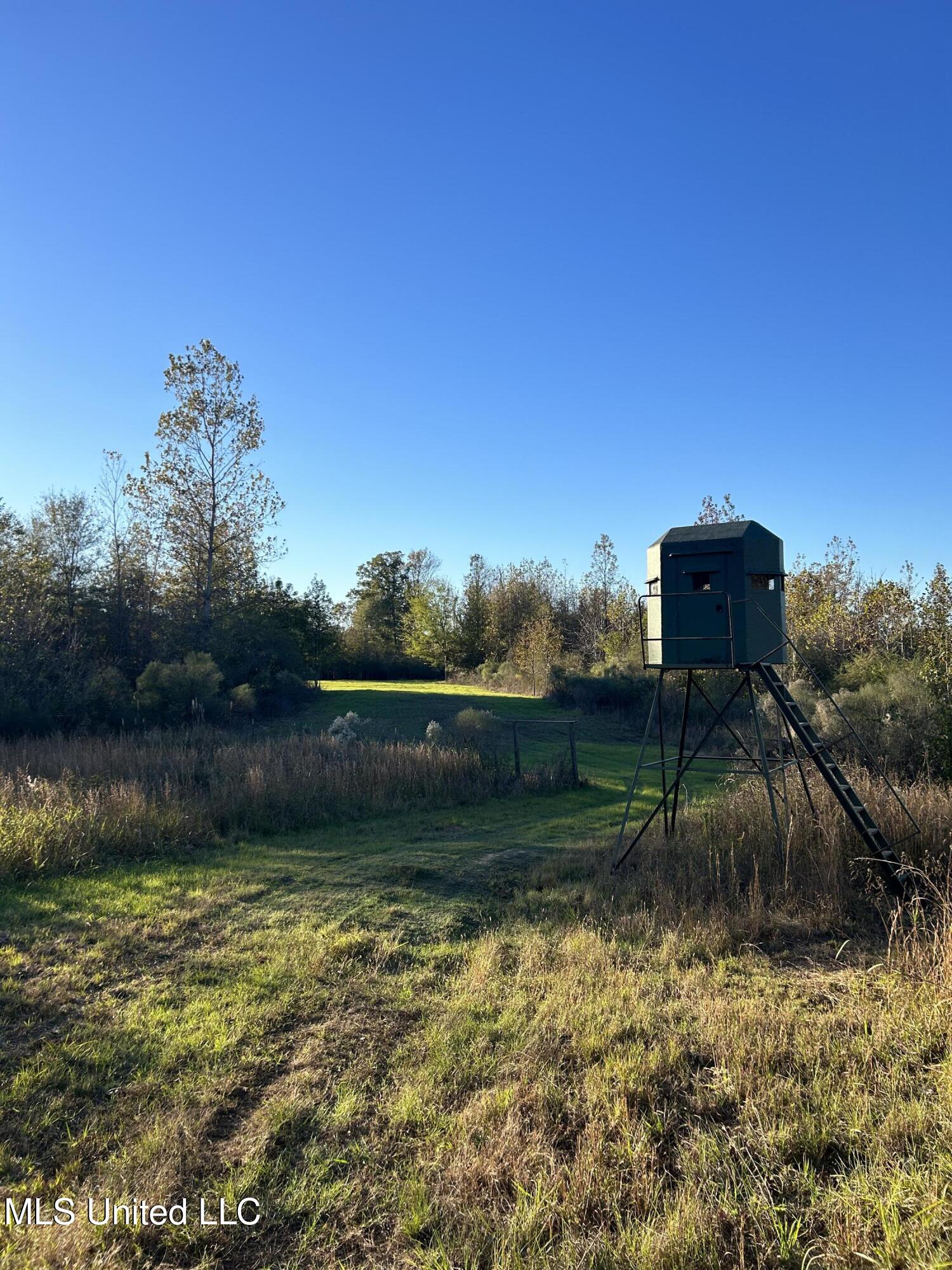 North Road, Lexington, Mississippi image 16