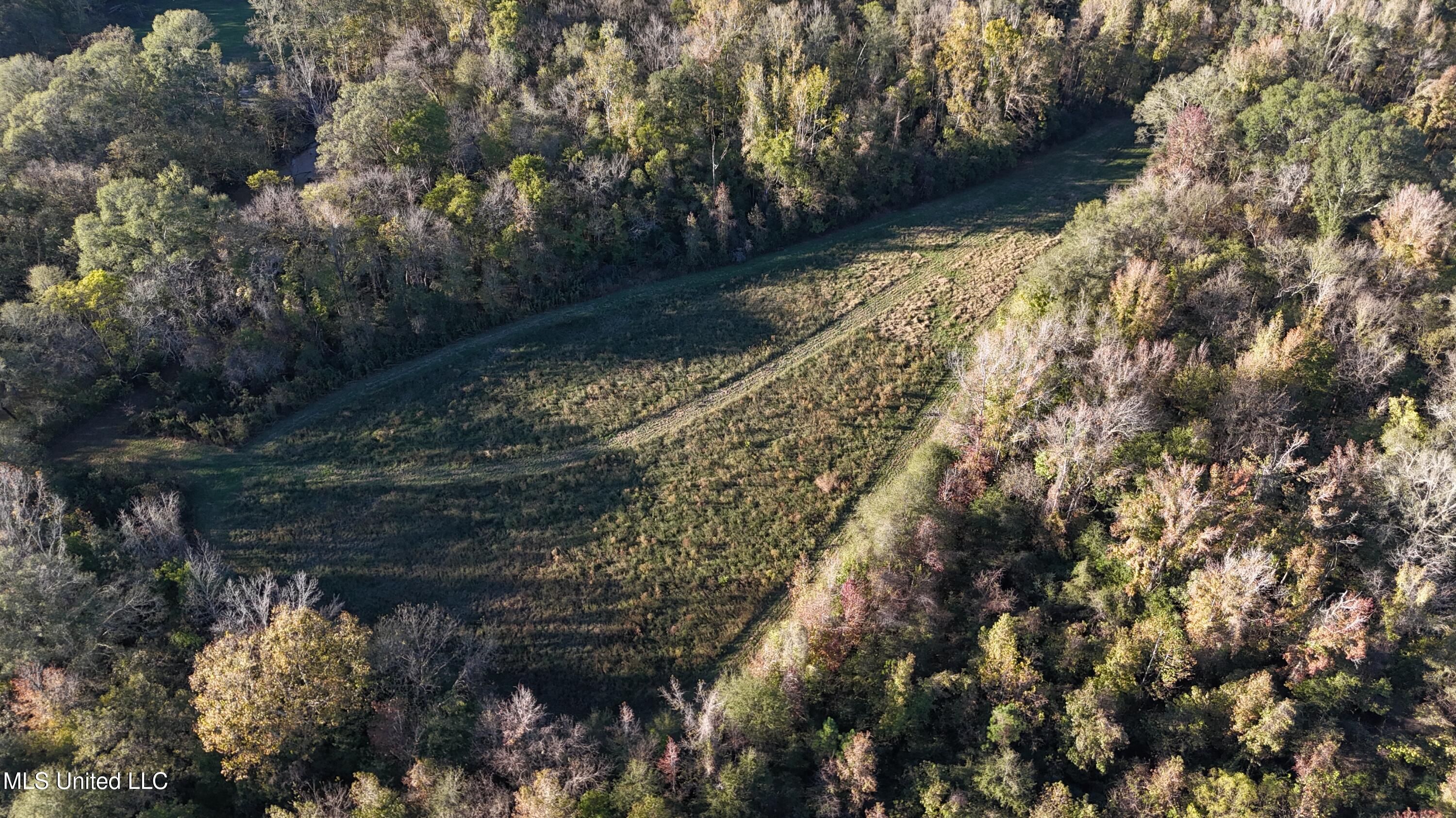 North Road, Lexington, Mississippi image 6