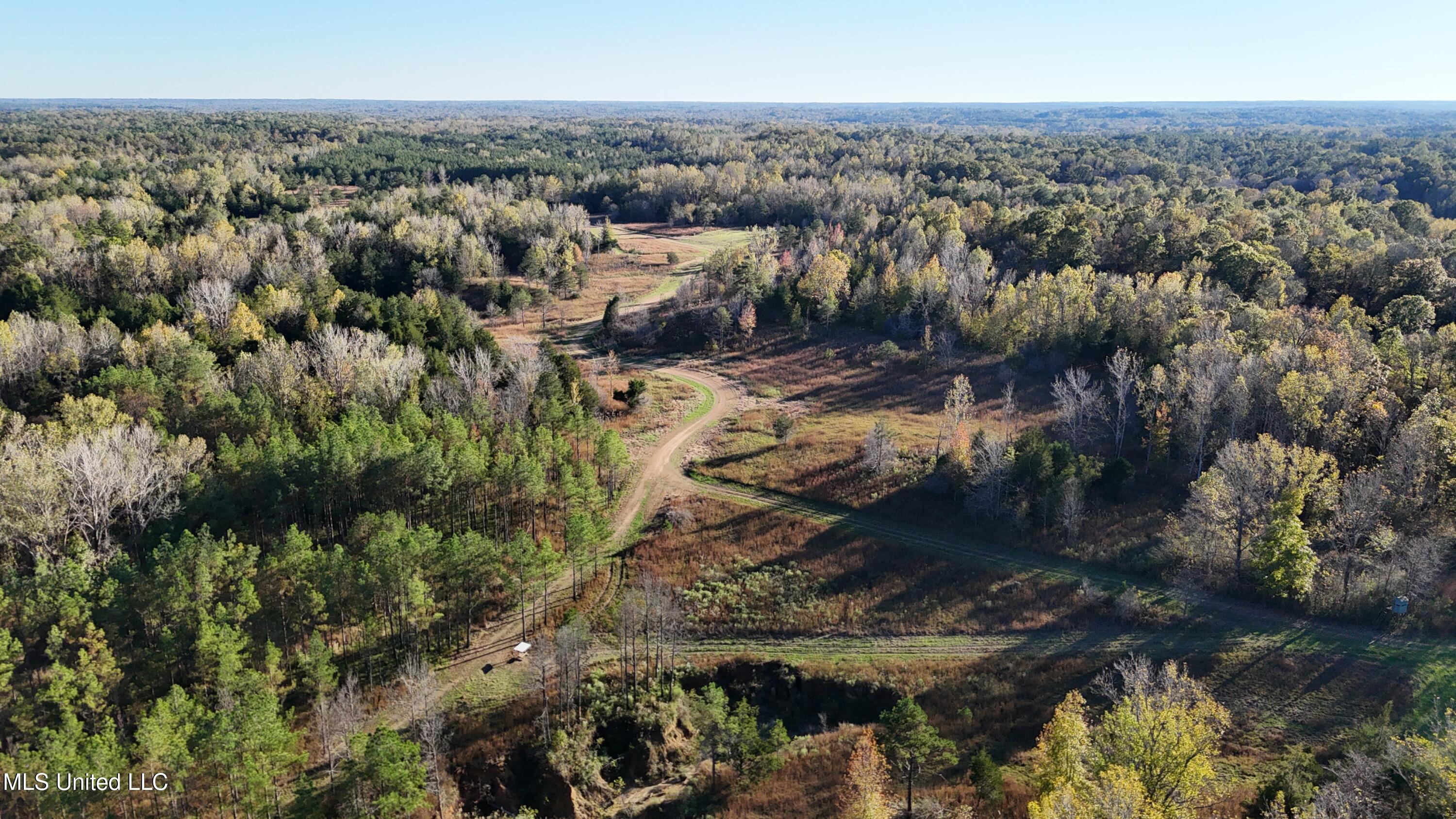 North Road, Lexington, Mississippi image 1