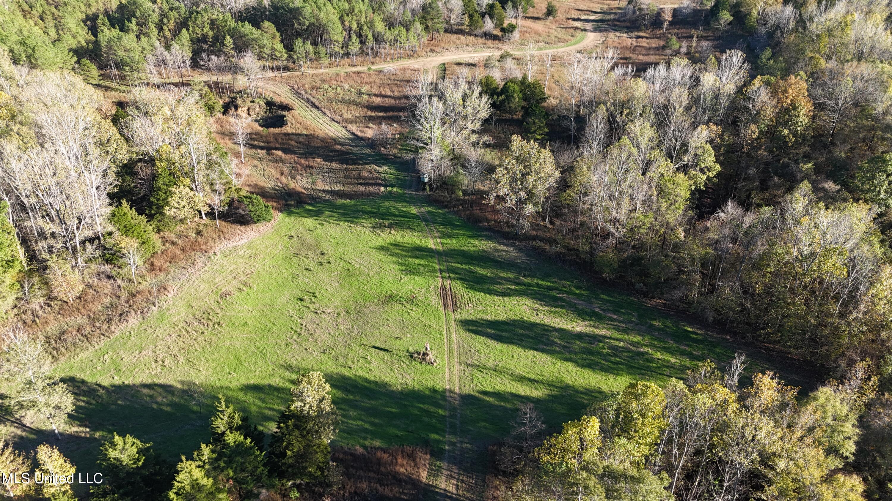 North Road, Lexington, Mississippi image 9