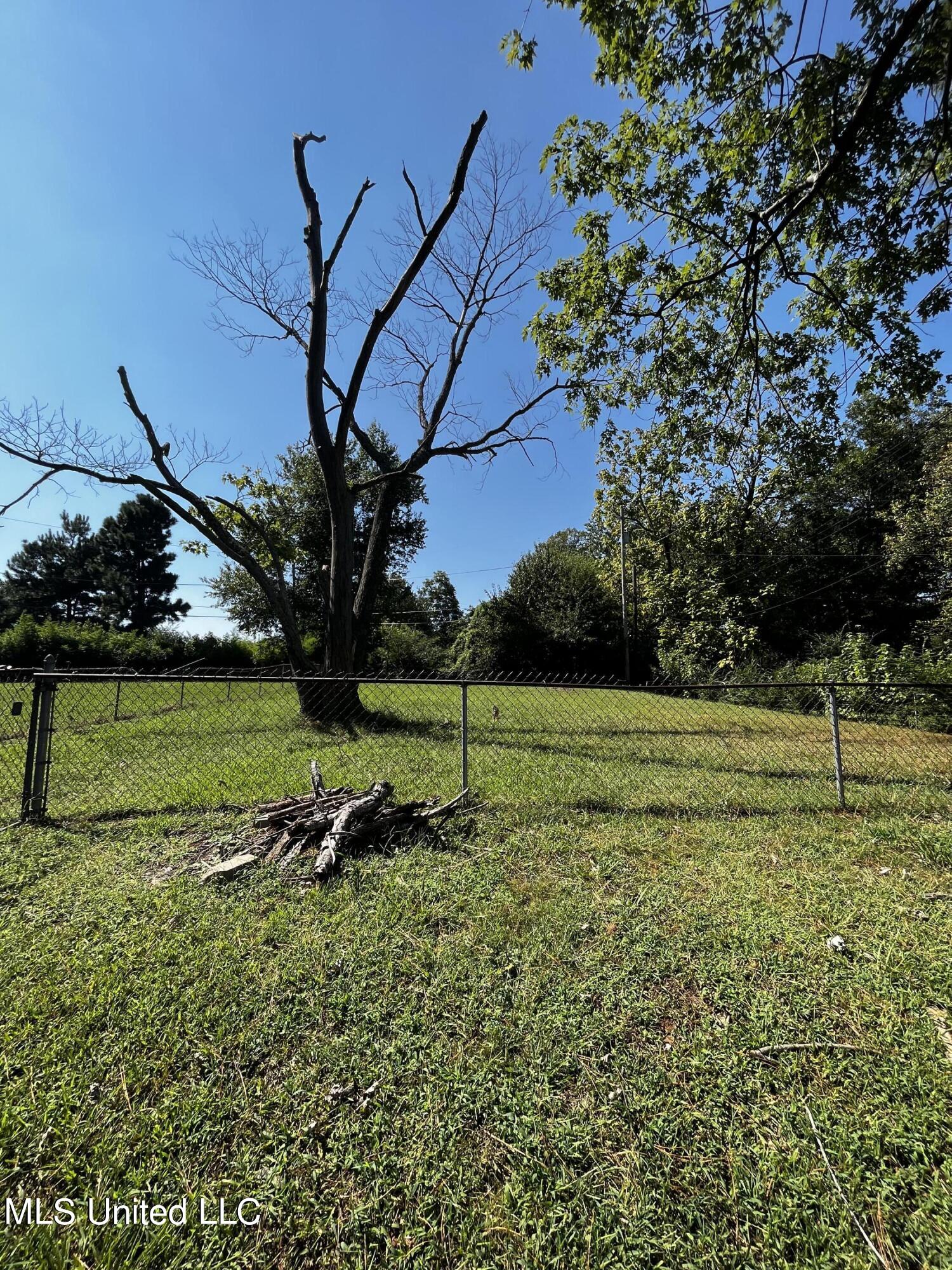 8301 Concord Cove, Southaven, Mississippi image 15