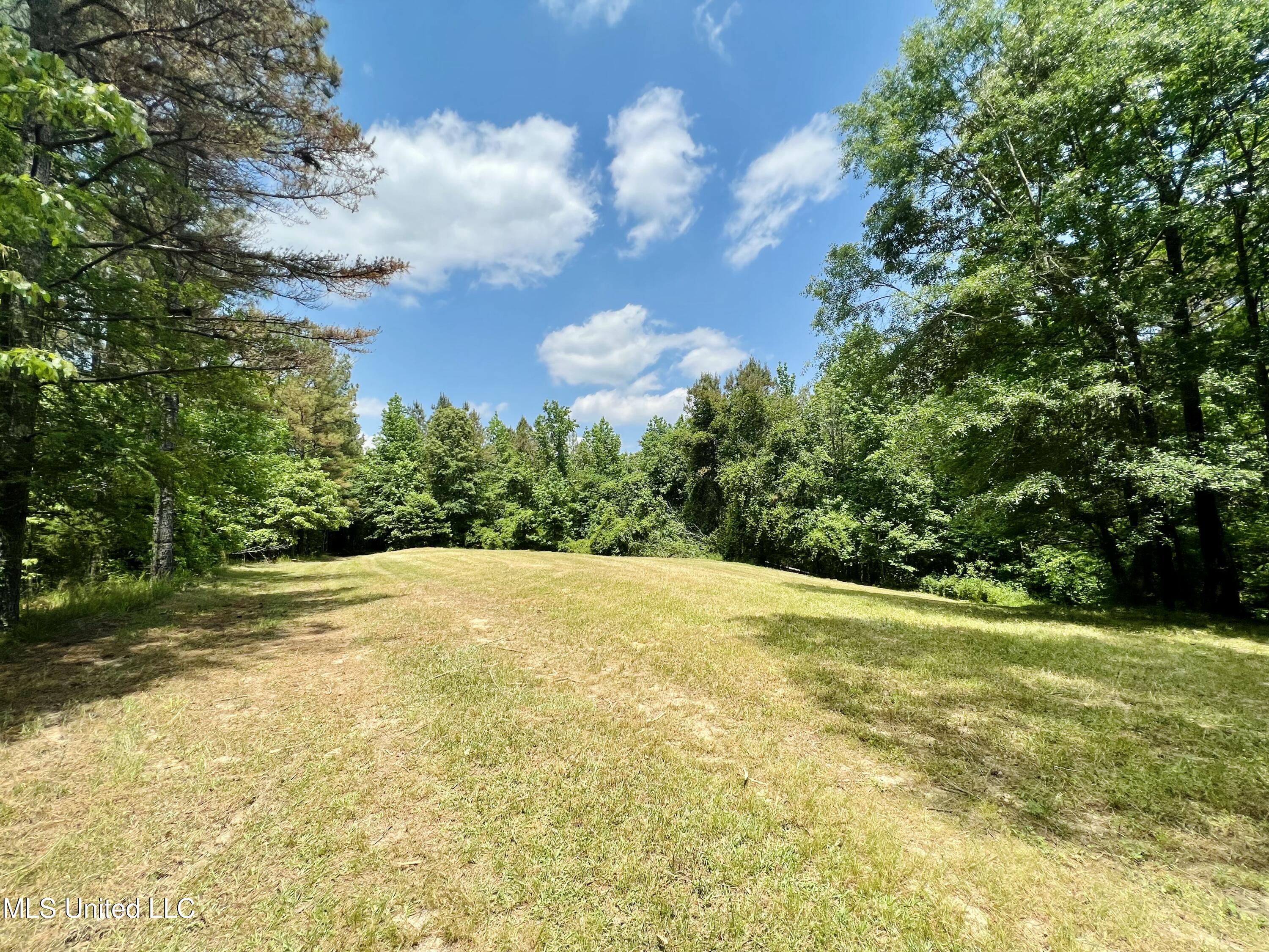 County Road 65, Winona, Mississippi image 17