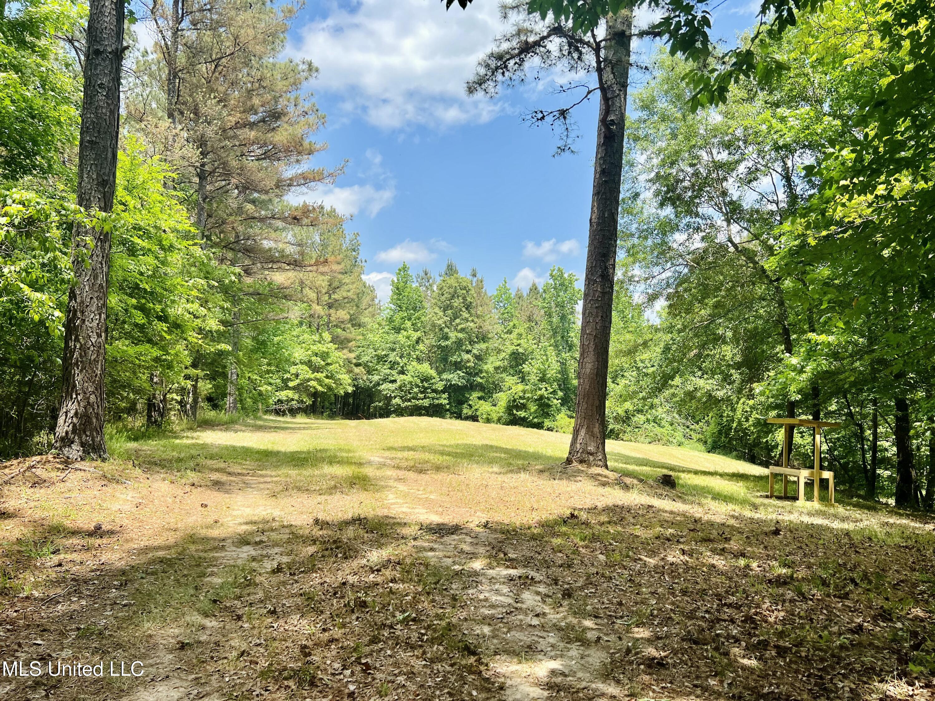 County Road 65, Winona, Mississippi image 9