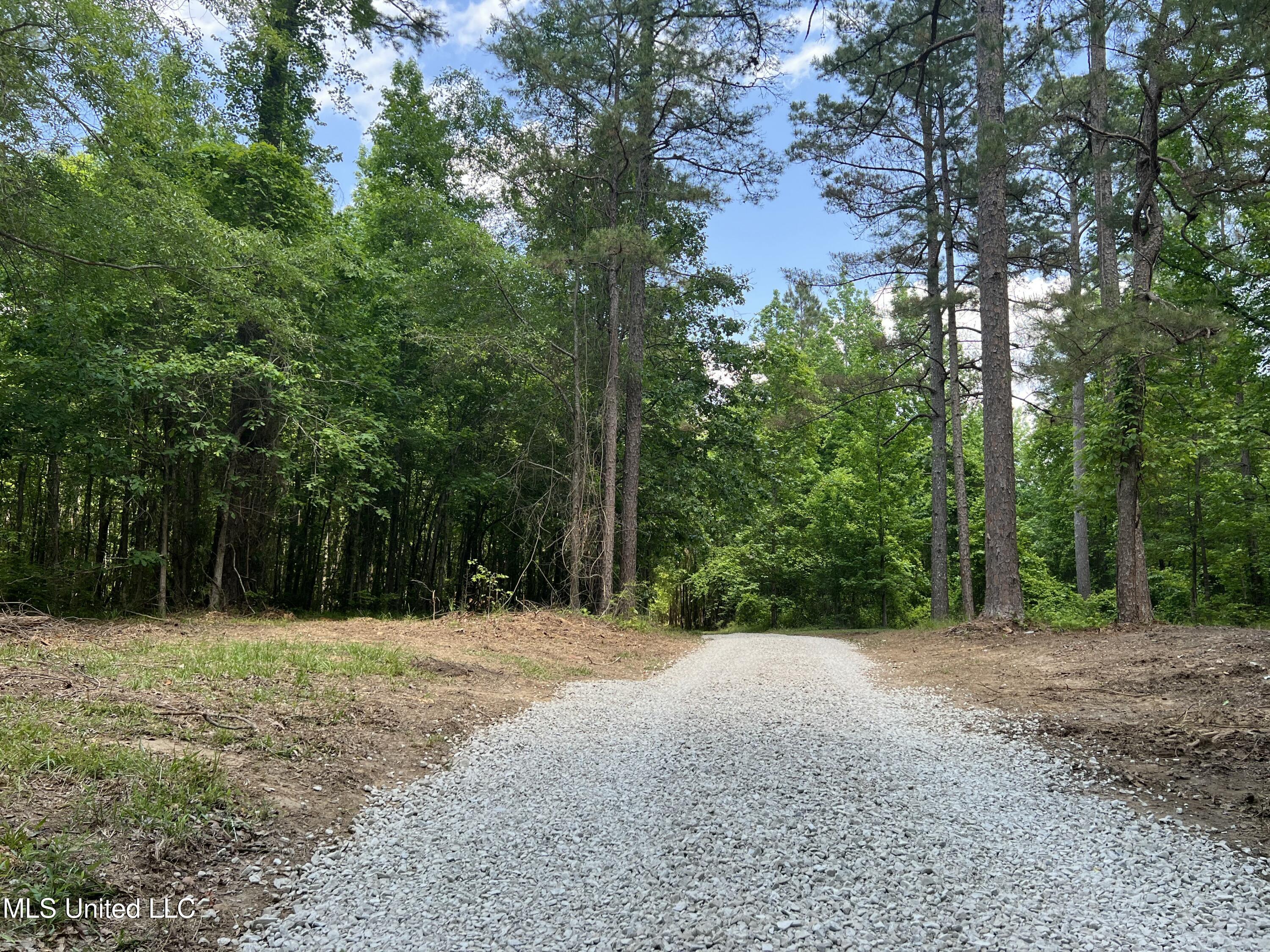 County Road 65, Winona, Mississippi image 14