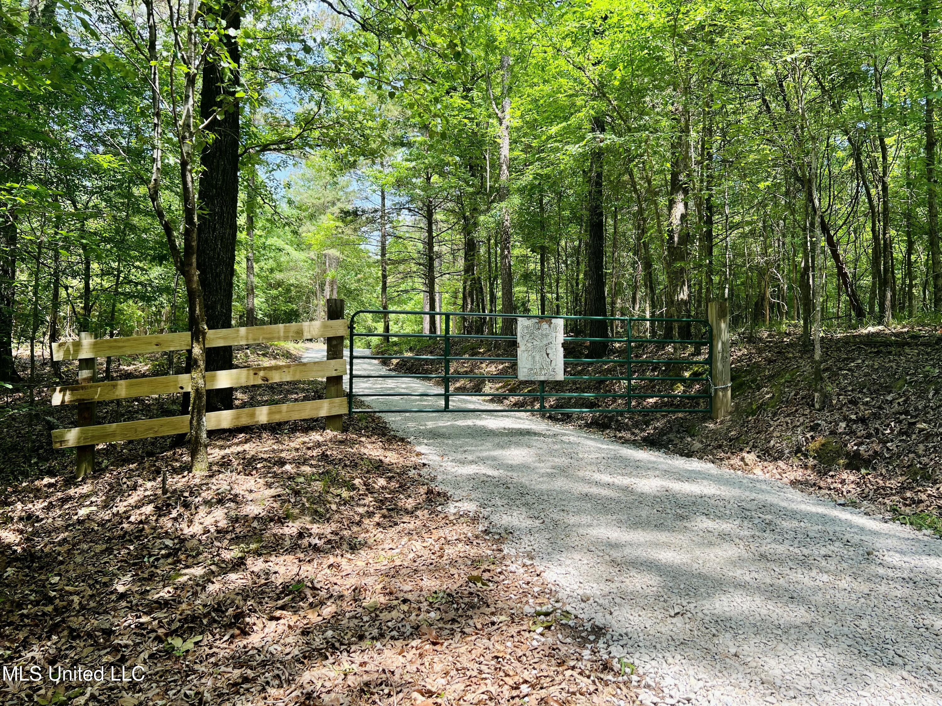 County Road 65, Winona, Mississippi image 12