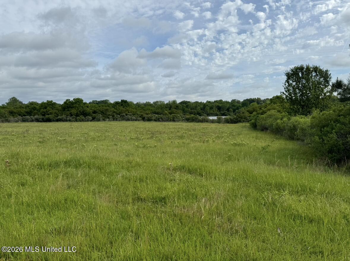 Bozeman Road