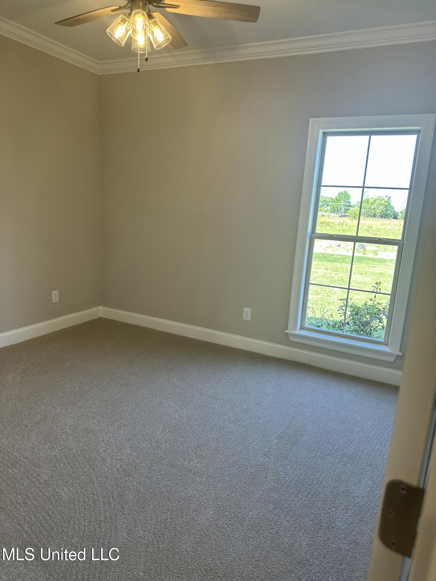 485 Aurora Circle, Canton, Mississippi image 30