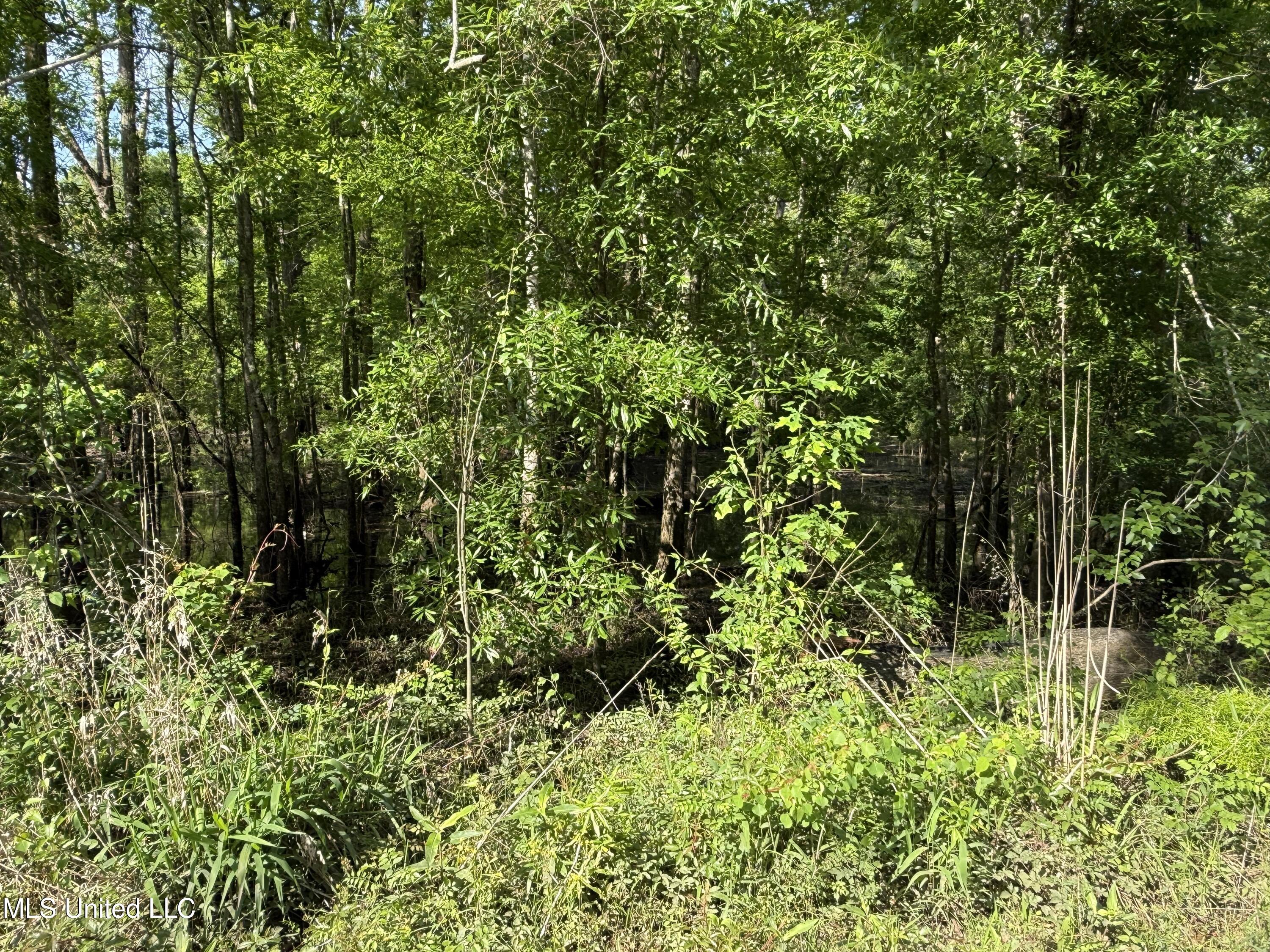 Nhn Maple Dr, Lucedale, Mississippi image 2