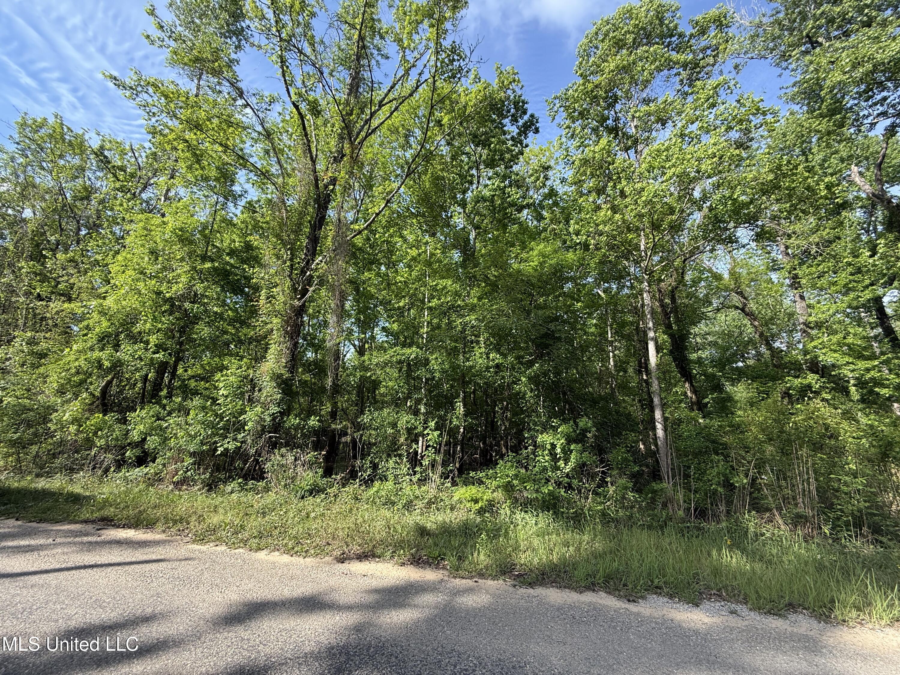 Nhn Maple Dr, Lucedale, Mississippi image 3