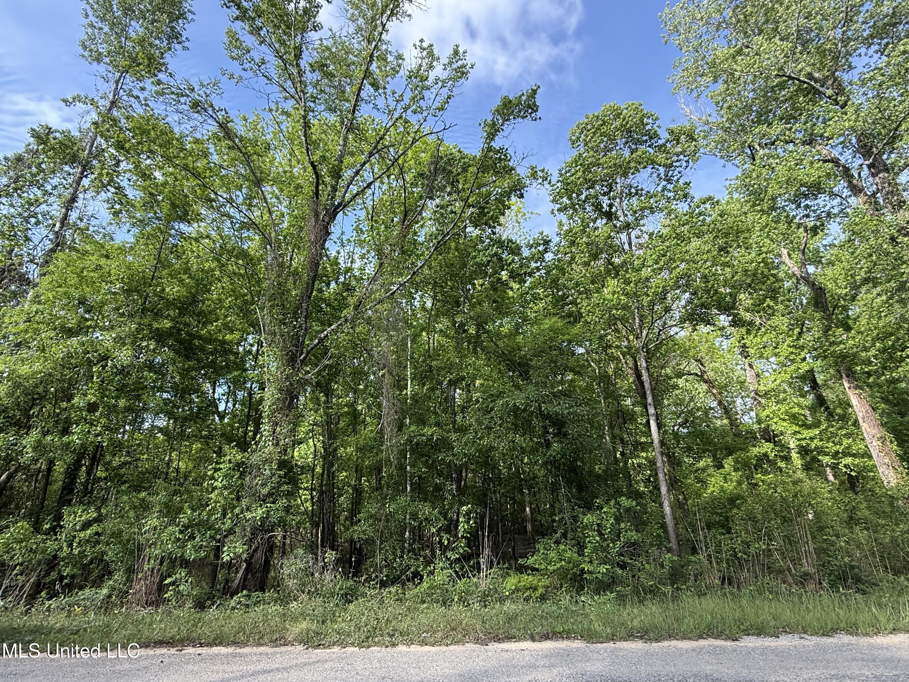 Nhn Maple Dr, Lucedale, Mississippi image 1