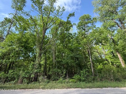 Vacant Land For Sale - NHN Maple Dr<br/> Lucedale, MS 39452