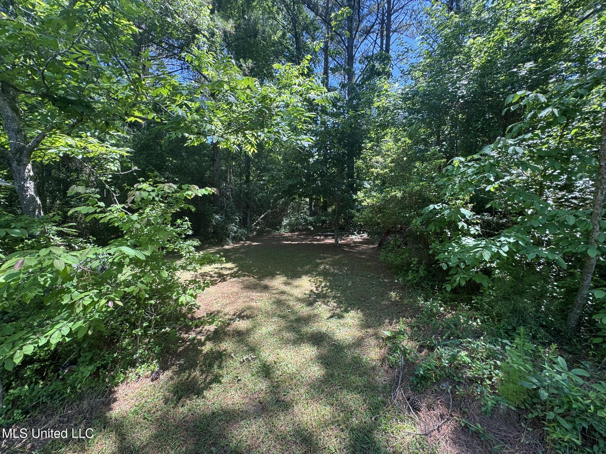12722 Attala Road 5053, Ethel, Mississippi image 12