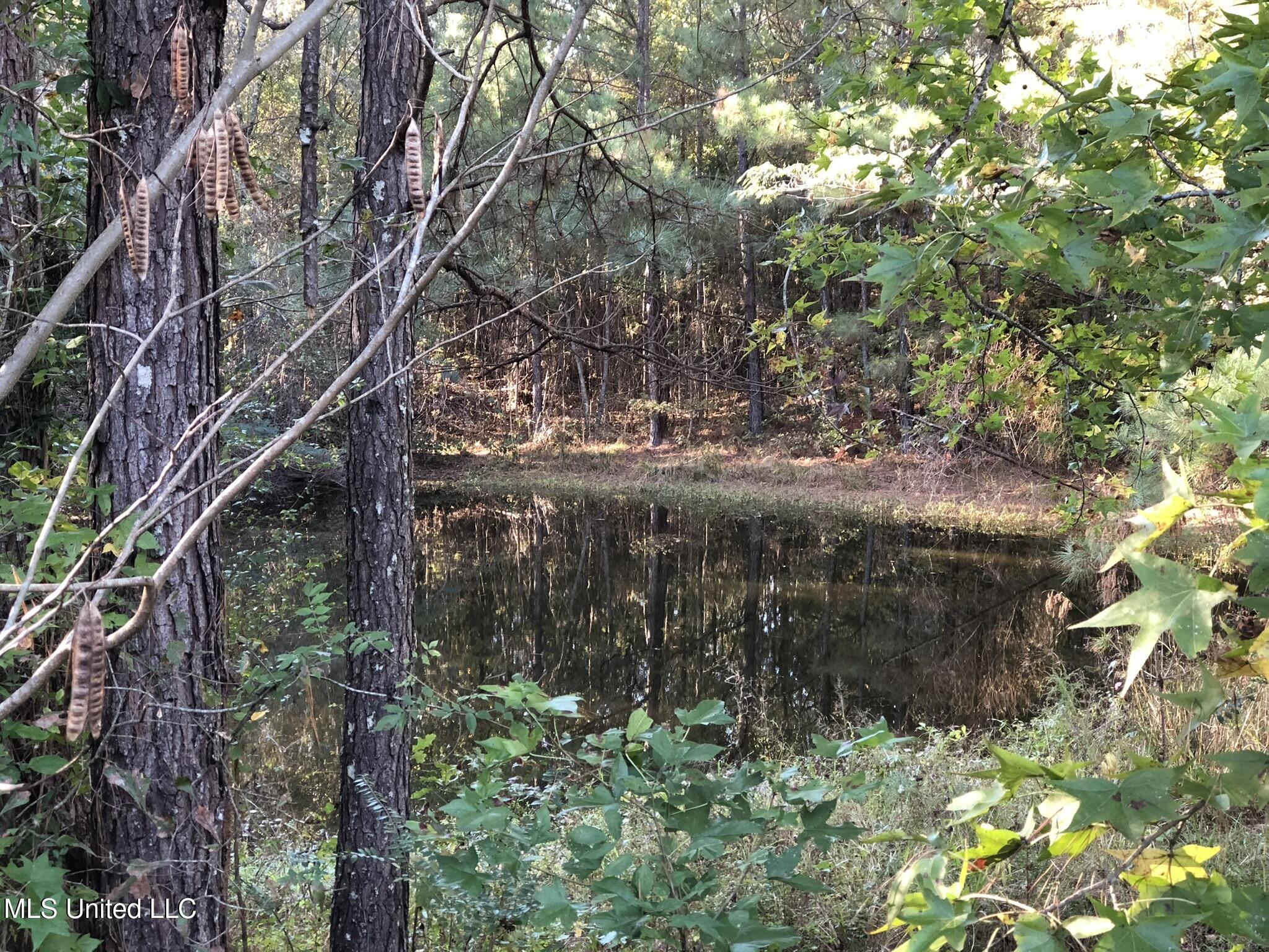 12722 Attala Road 5053, Ethel, Mississippi image 33
