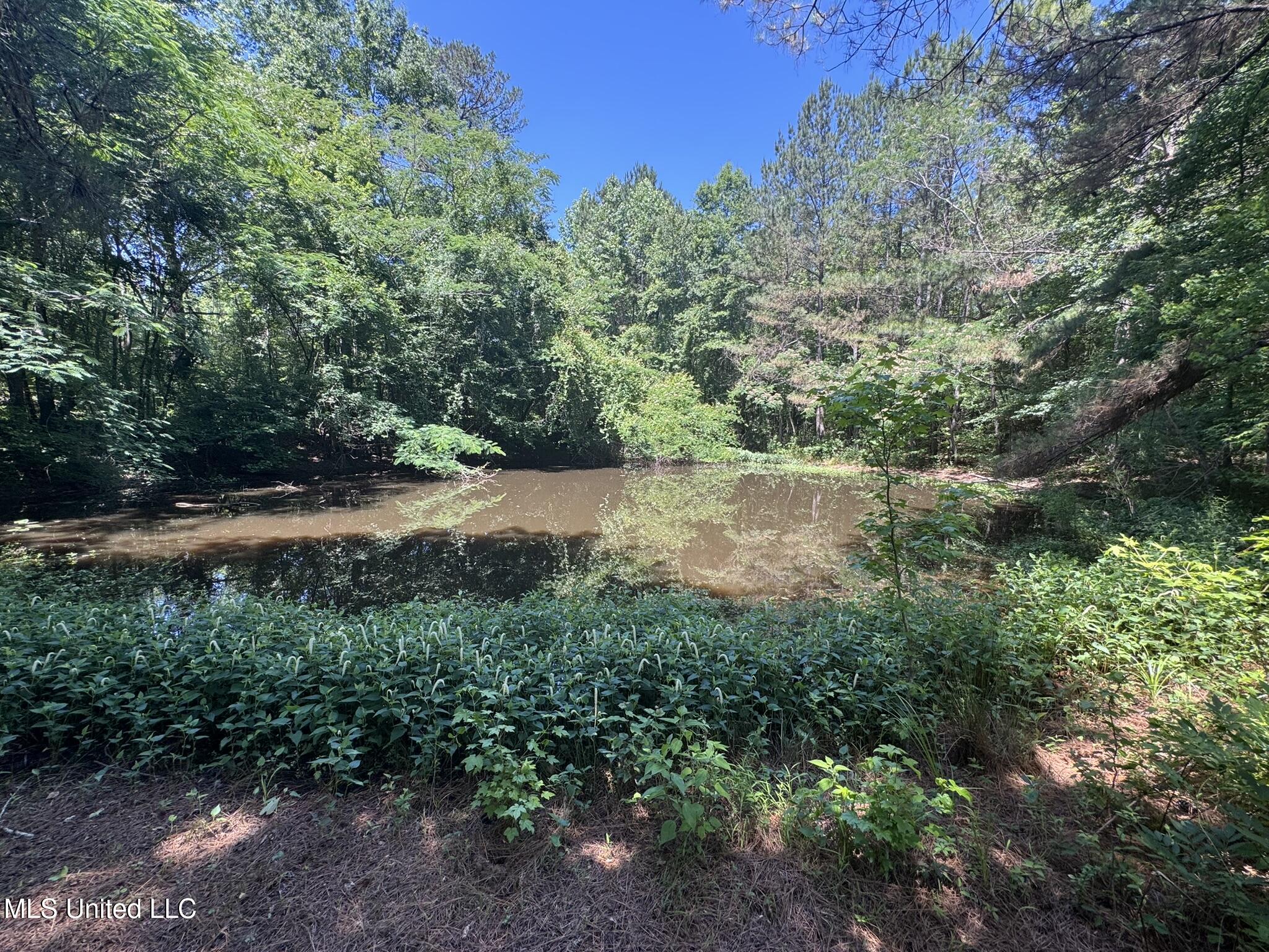 12722 Attala Road 5053, Ethel, Mississippi image 16