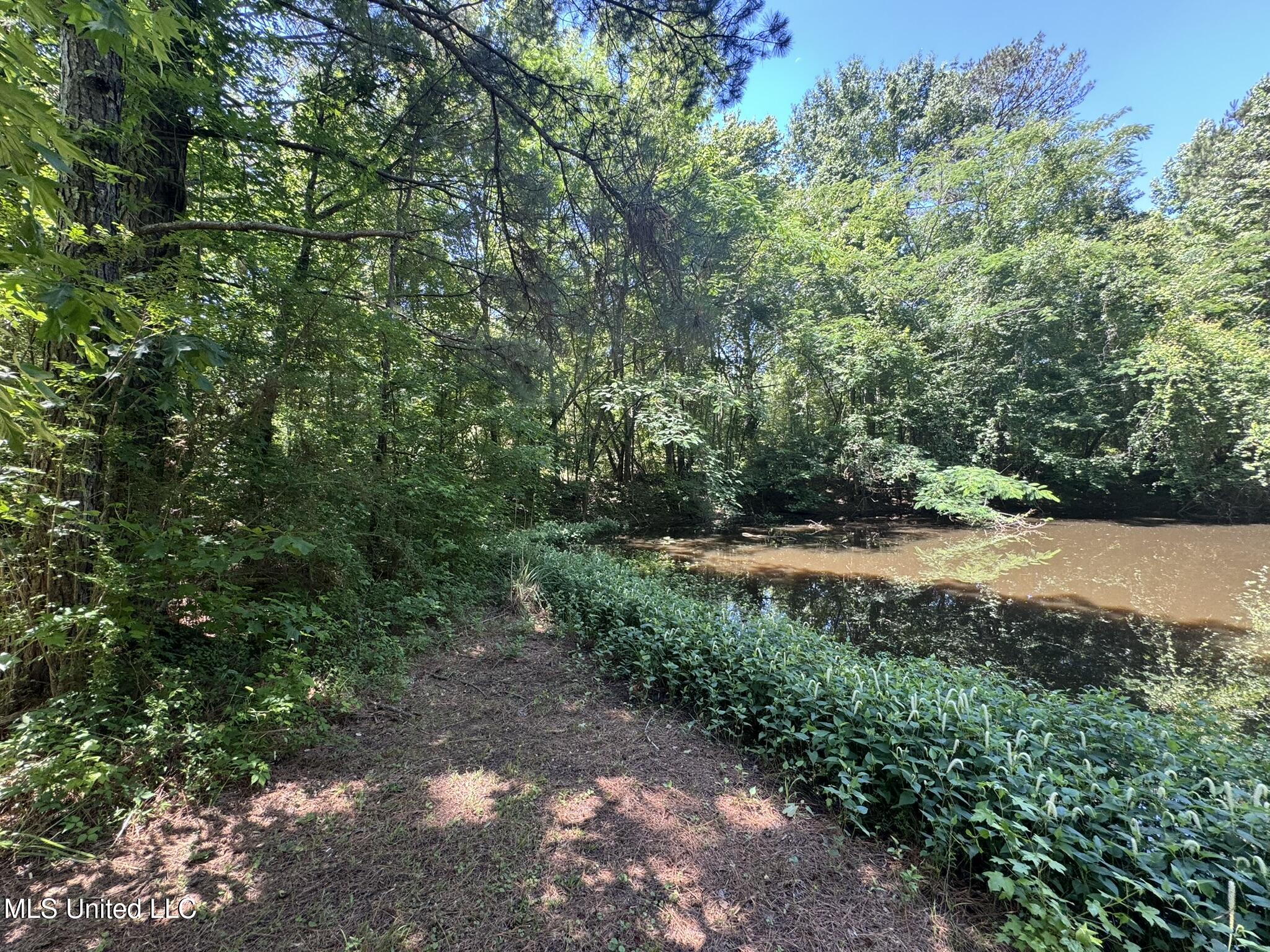 12722 Attala Road 5053, Ethel, Mississippi image 17