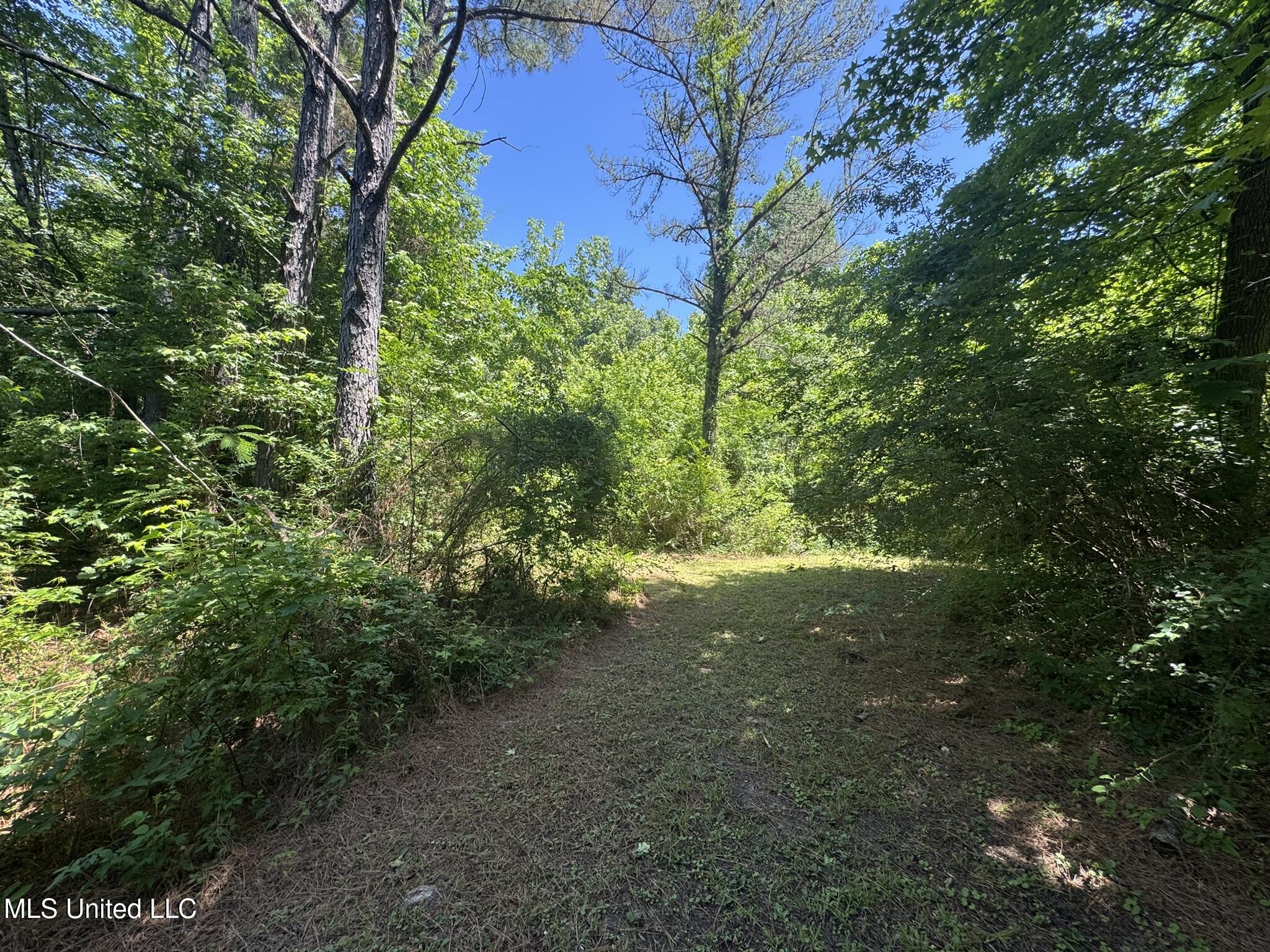 12722 Attala Road 5053, Ethel, Mississippi image 18
