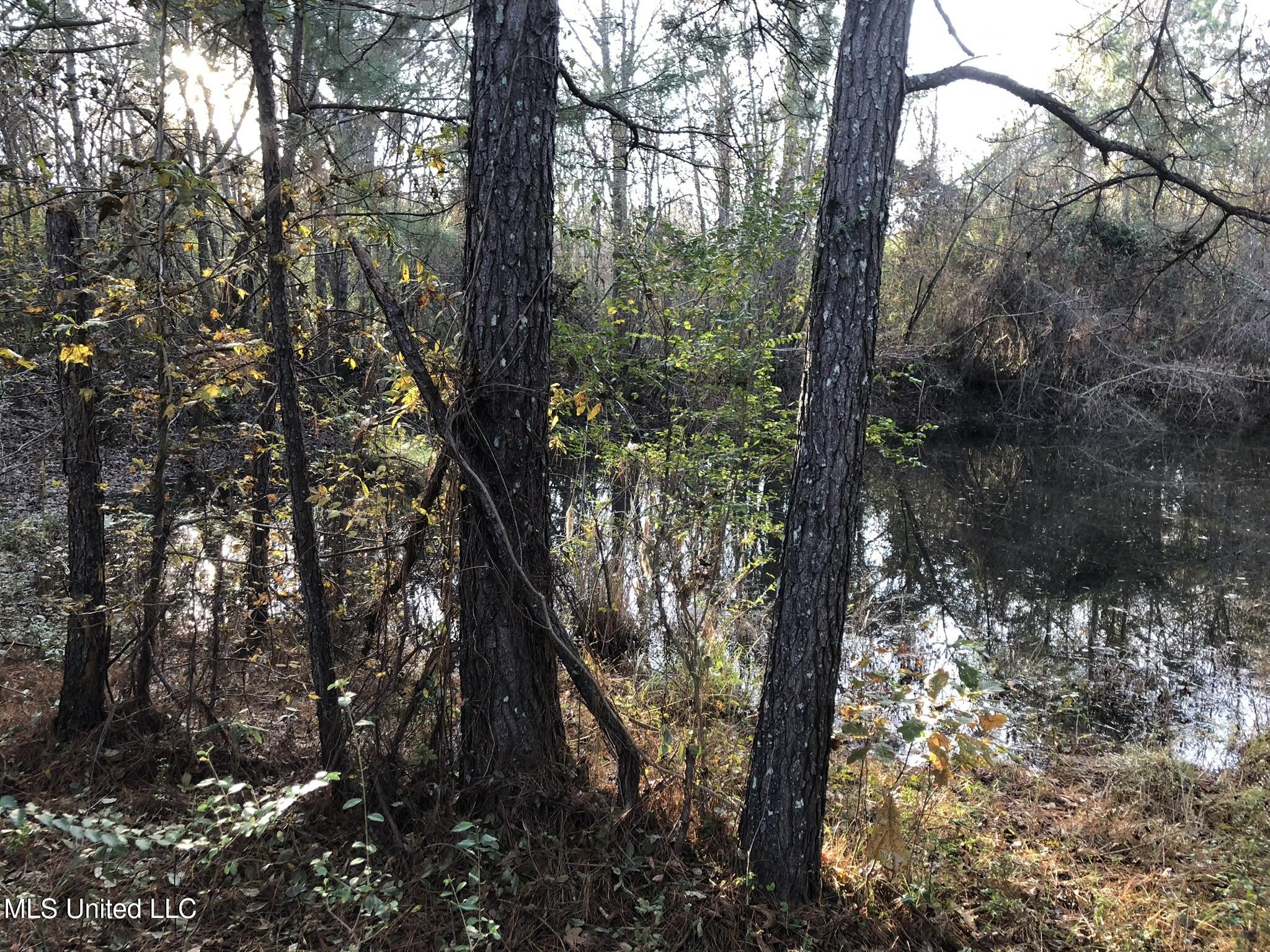12722 Attala Road 5053, Ethel, Mississippi image 36