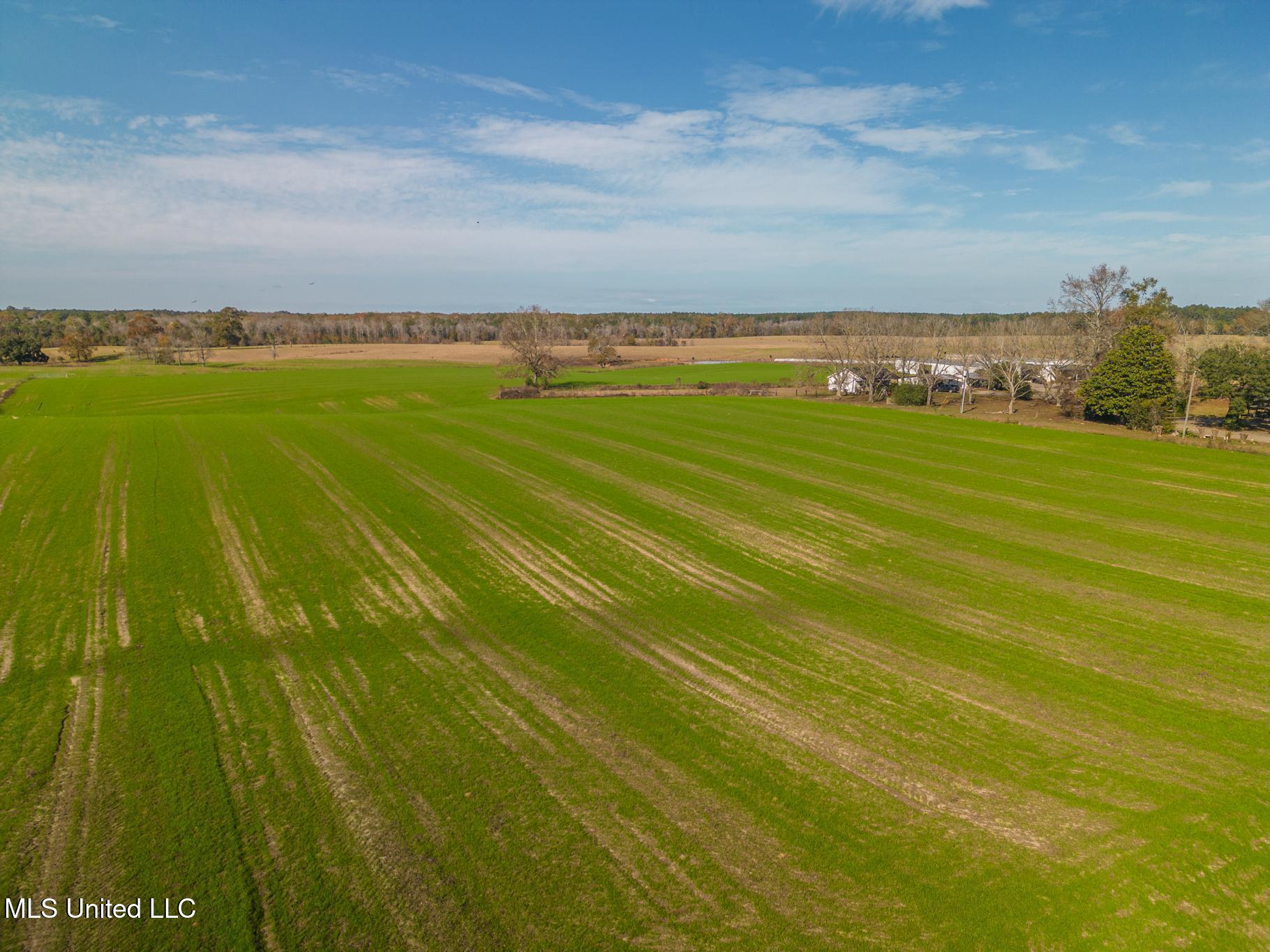 Tbd Oil Well Road, Wiggins, Texas image 15