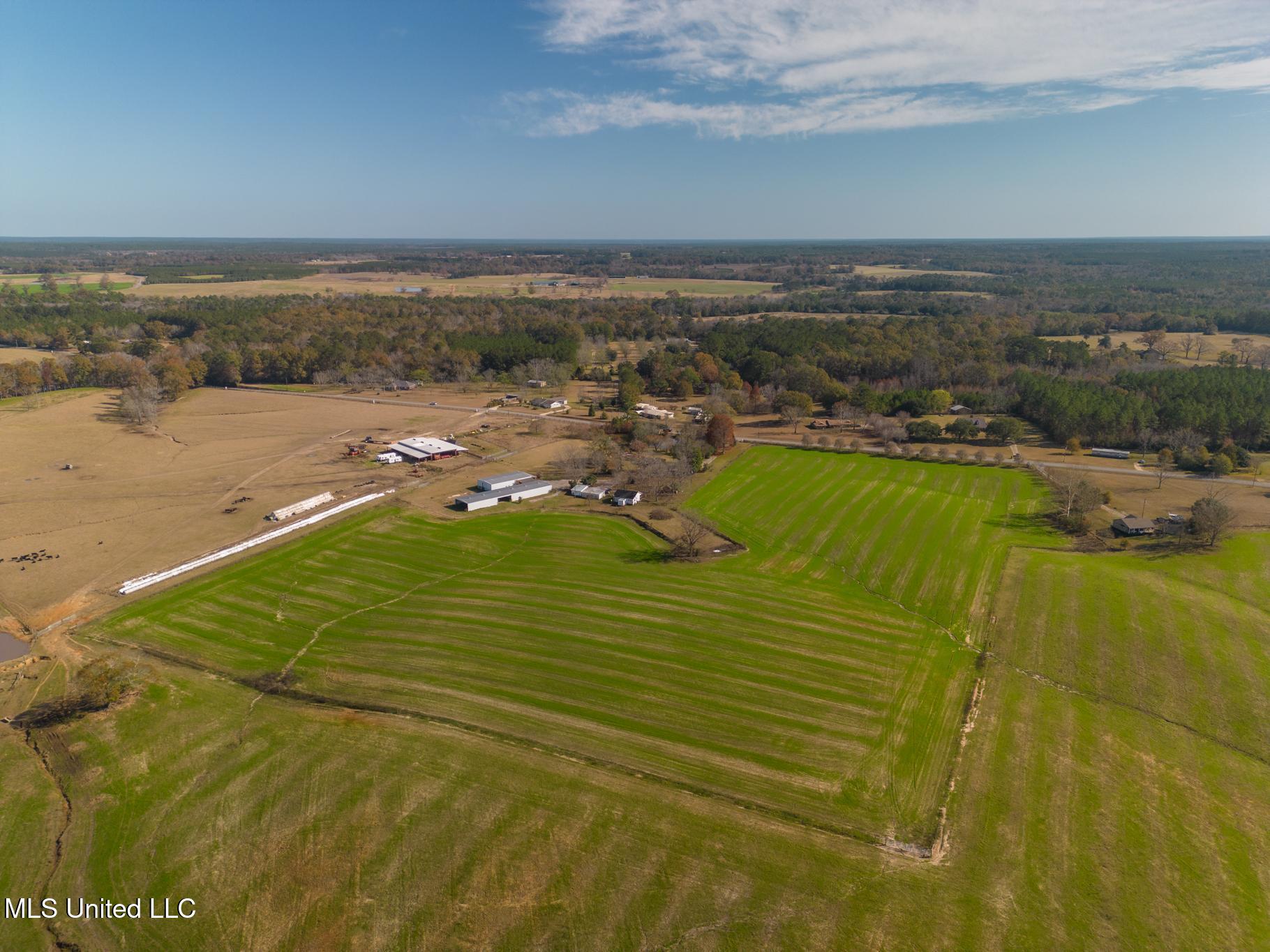 Tbd Oil Well Road, Wiggins, Texas image 8
