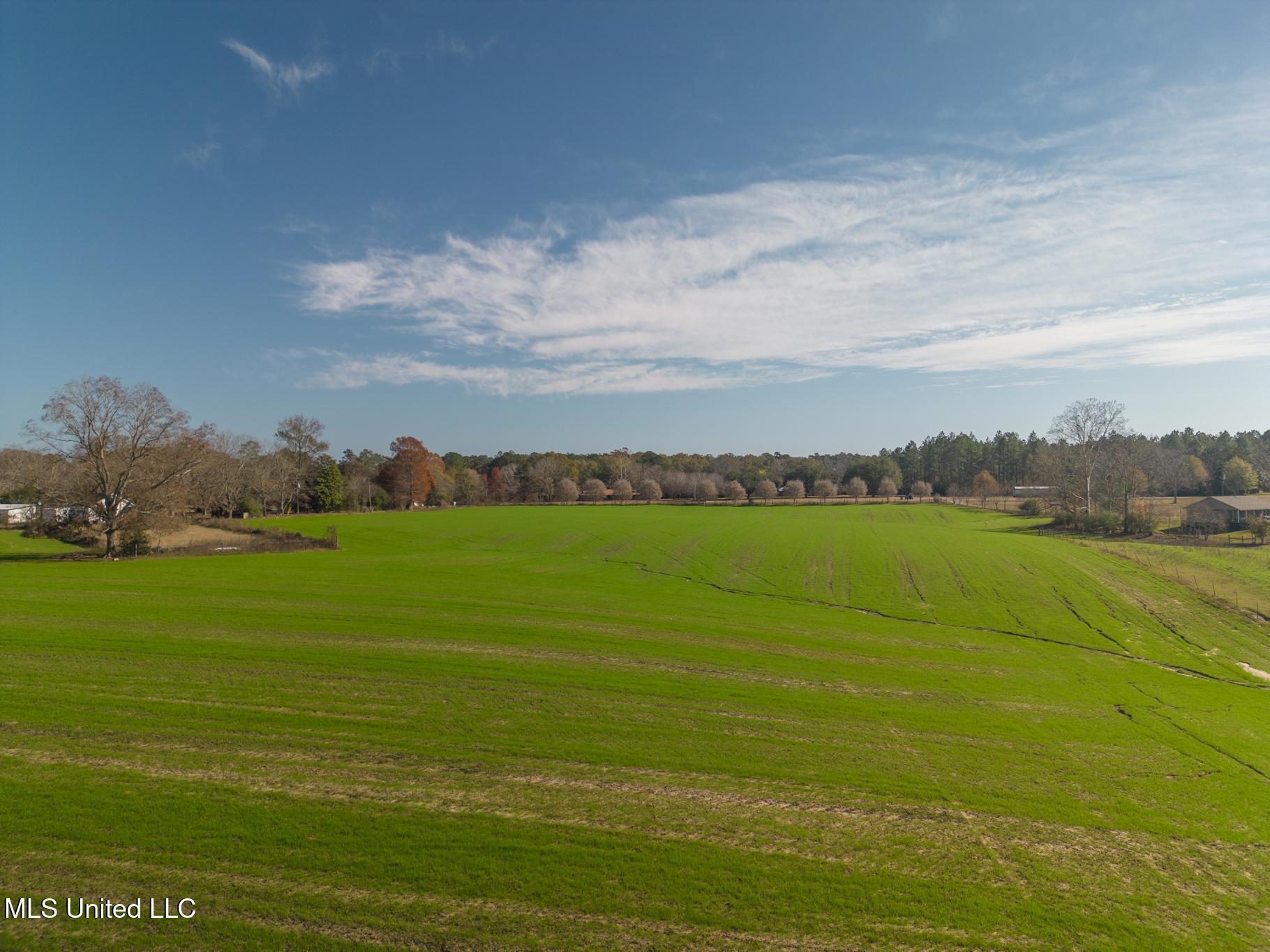 Tbd Oil Well Road, Wiggins, Texas image 13