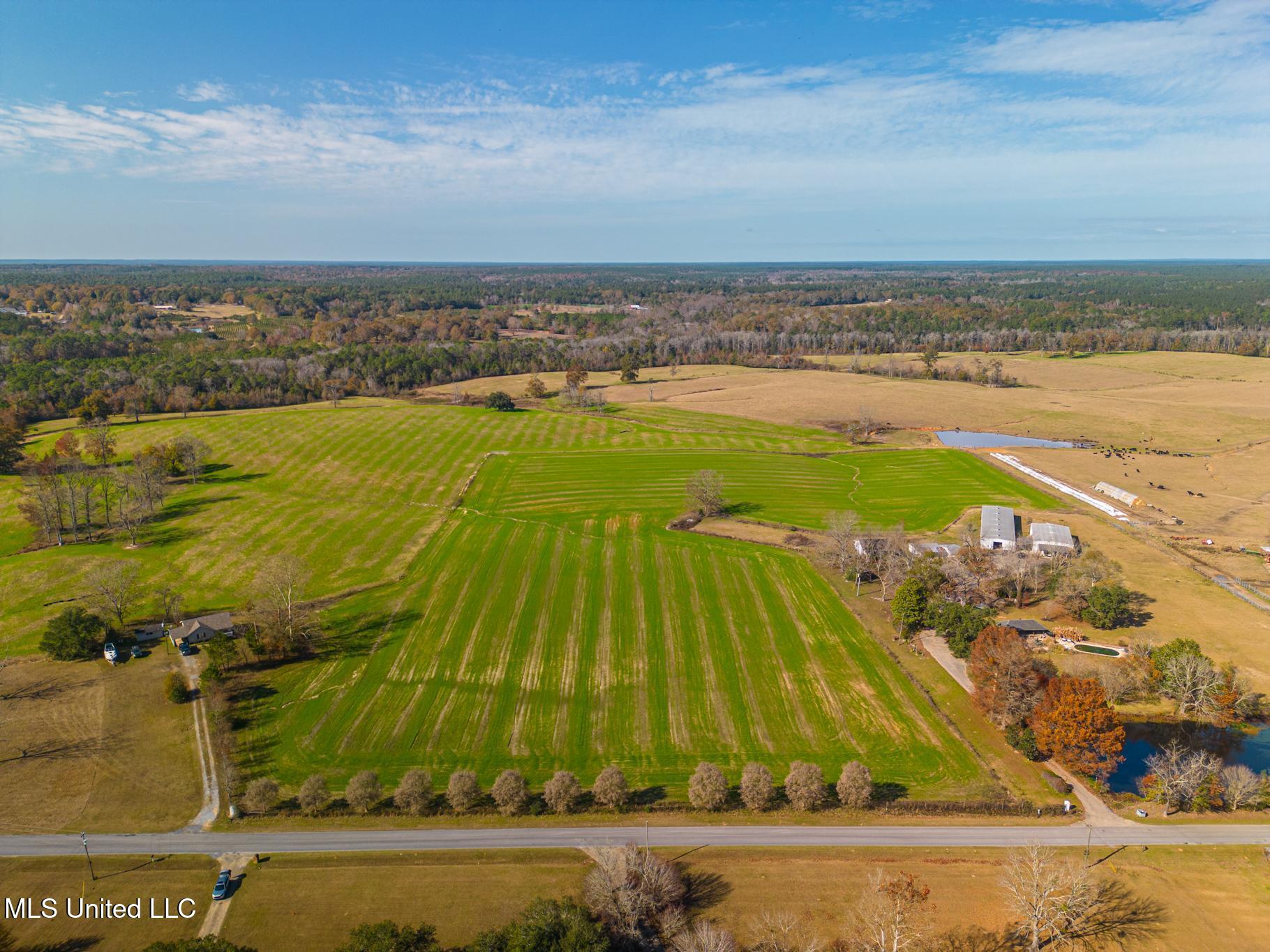 Tbd Oil Well Road, Wiggins, Texas image 12