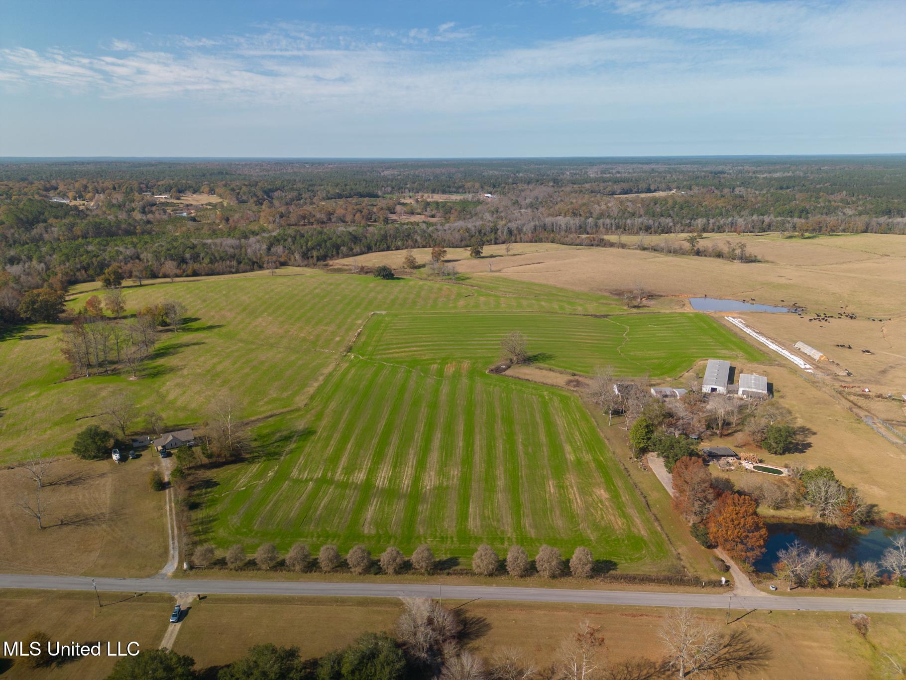 Tbd Oil Well Road, Wiggins, Texas image 4