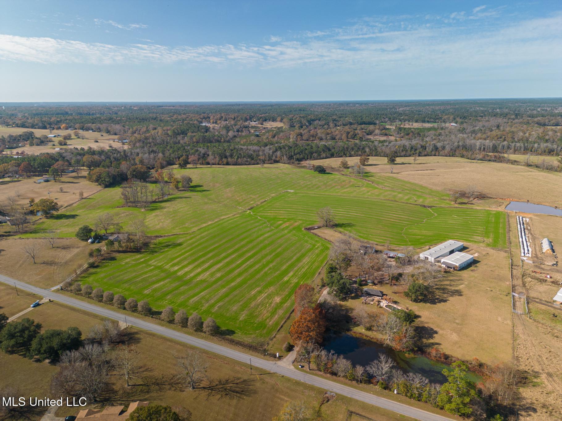 Tbd Oil Well Road, Wiggins, Texas image 10