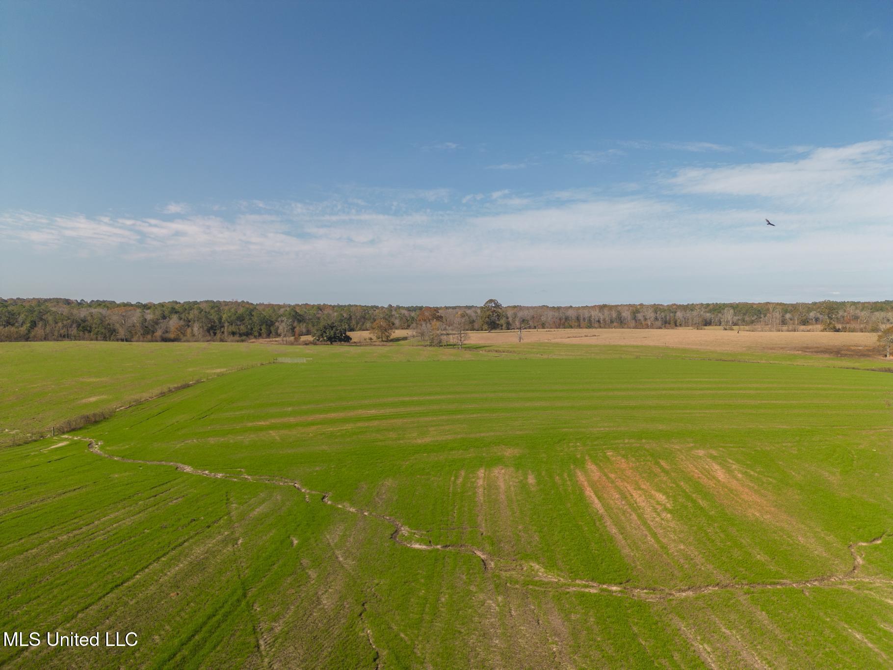 Tbd Oil Well Road, Wiggins, Texas image 16