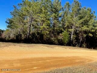 Vacant Land For Sale - NE Linwood Lane<br/> Brookhaven, MS 39601