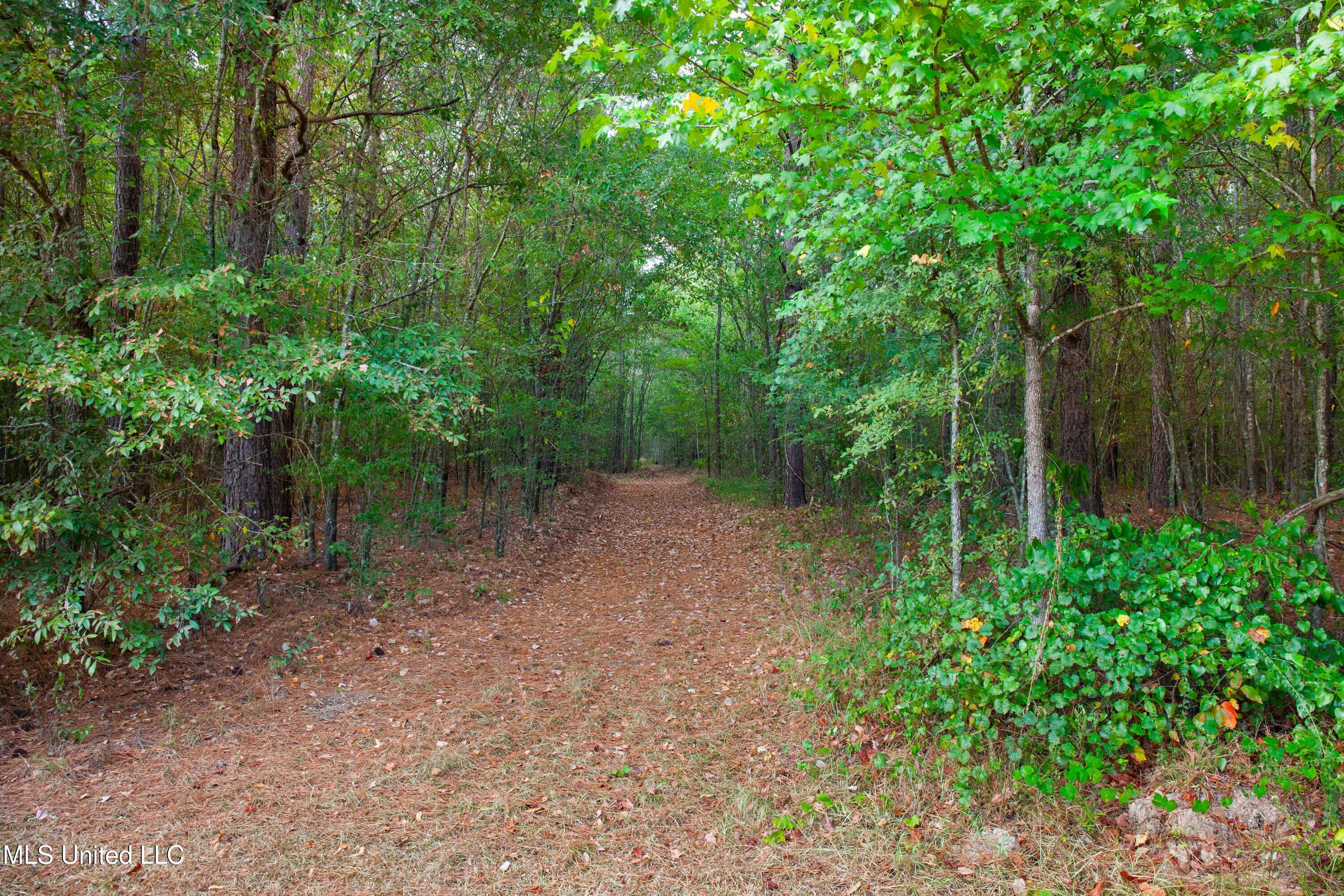 3011 Crowder Creek Rd Road, Carthage, Mississippi image 20