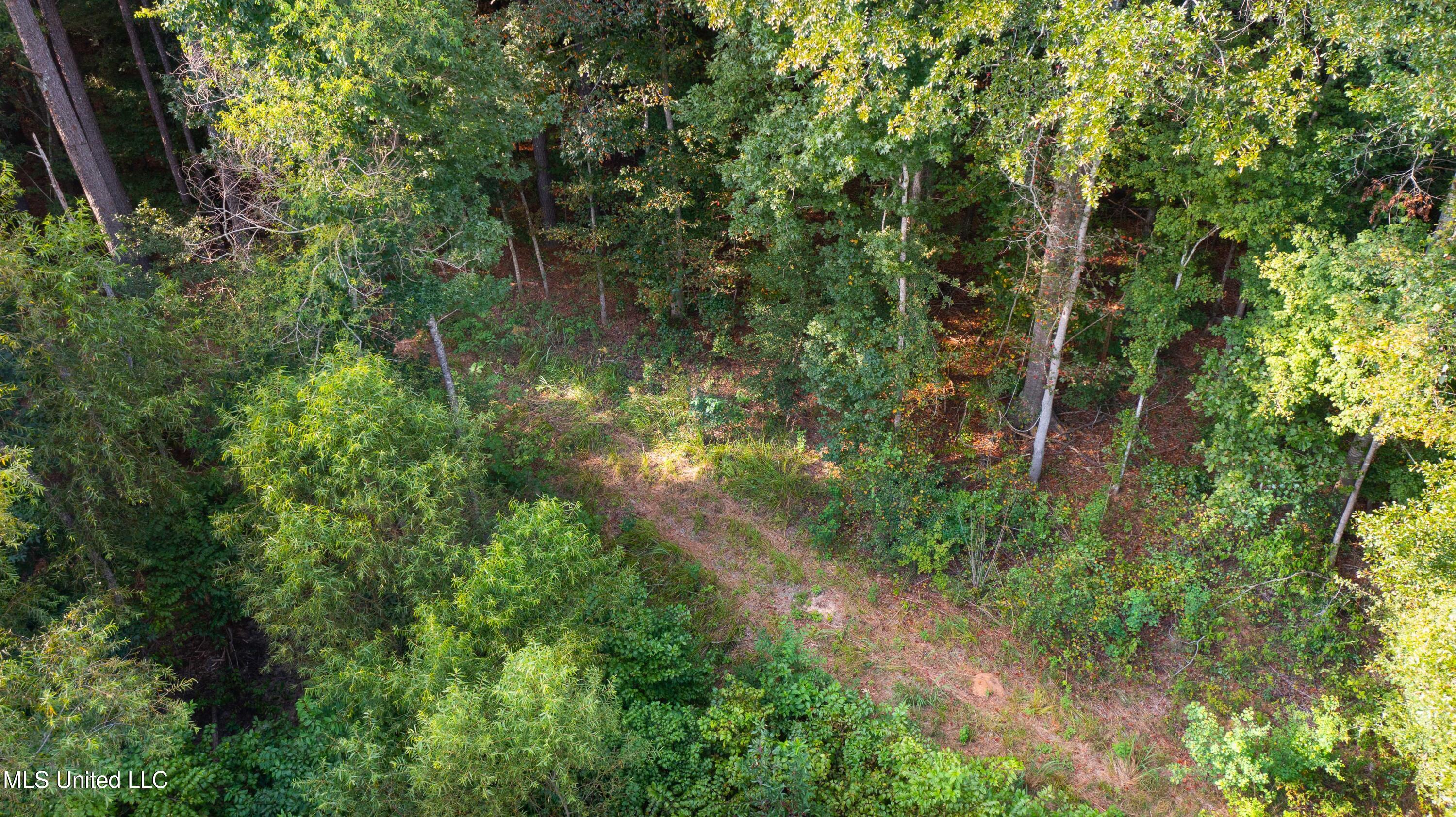 3011 Crowder Creek Rd Road, Carthage, Mississippi image 16