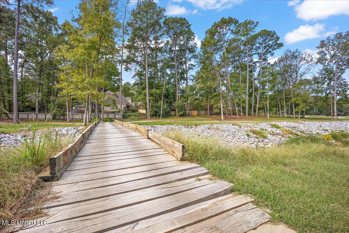 512 Dixton Drive, Brandon, Mississippi image 21