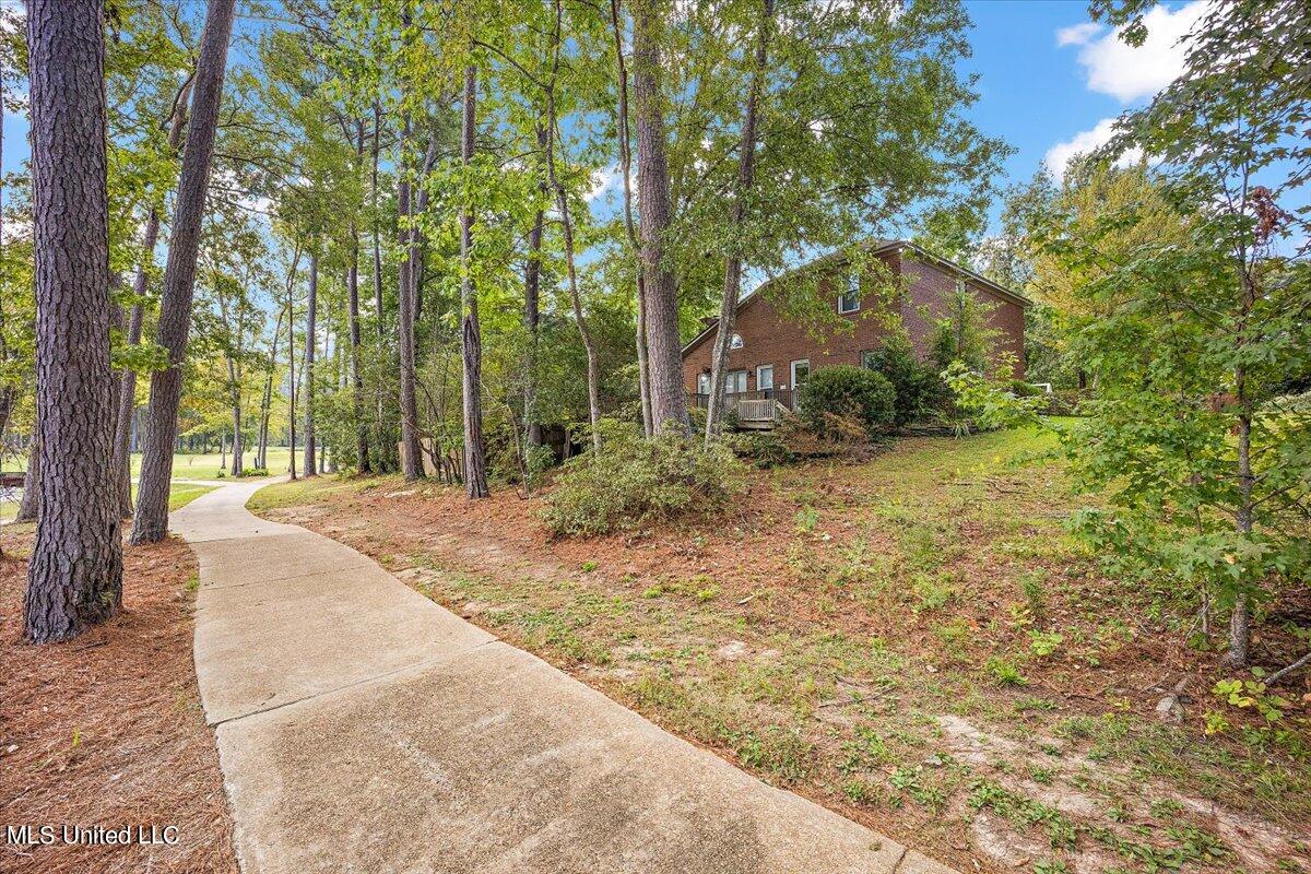 512 Dixton Drive, Brandon, Mississippi image 19