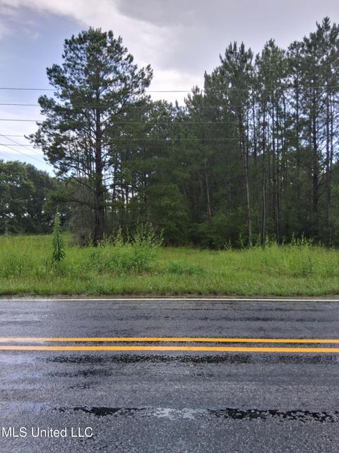 Vacant Land For Sale - 00 Lavelle Ladner Road<br/> Lumberton, MS 39455