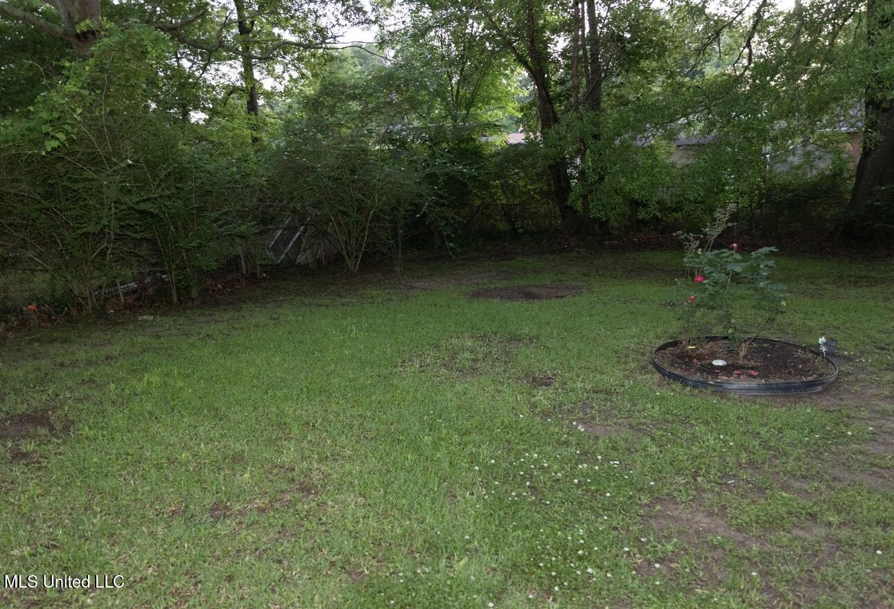 423 Toni Lane, Pearl, Mississippi image 12
