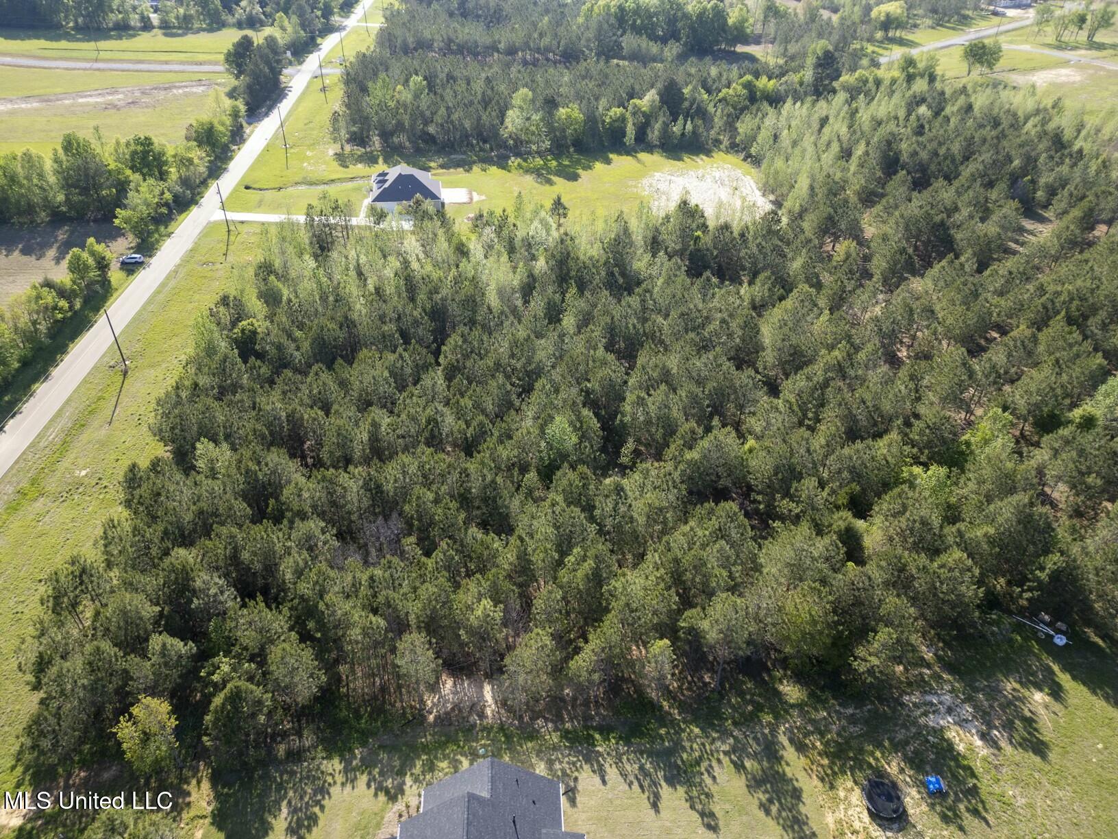 Stout Road, Canton, Mississippi image 4